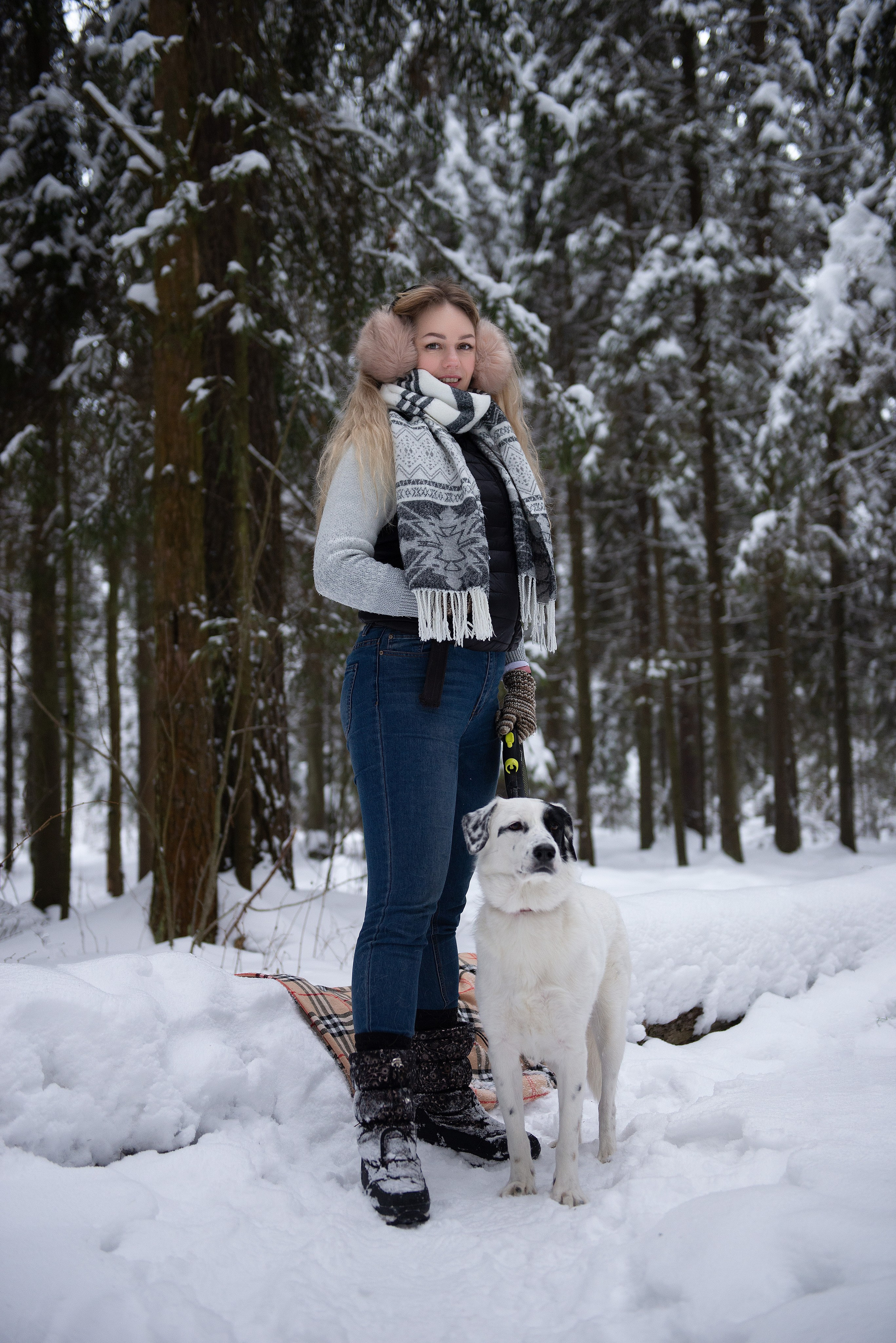 Зимний лес прекрасен. Творческий фотограф Вологда
