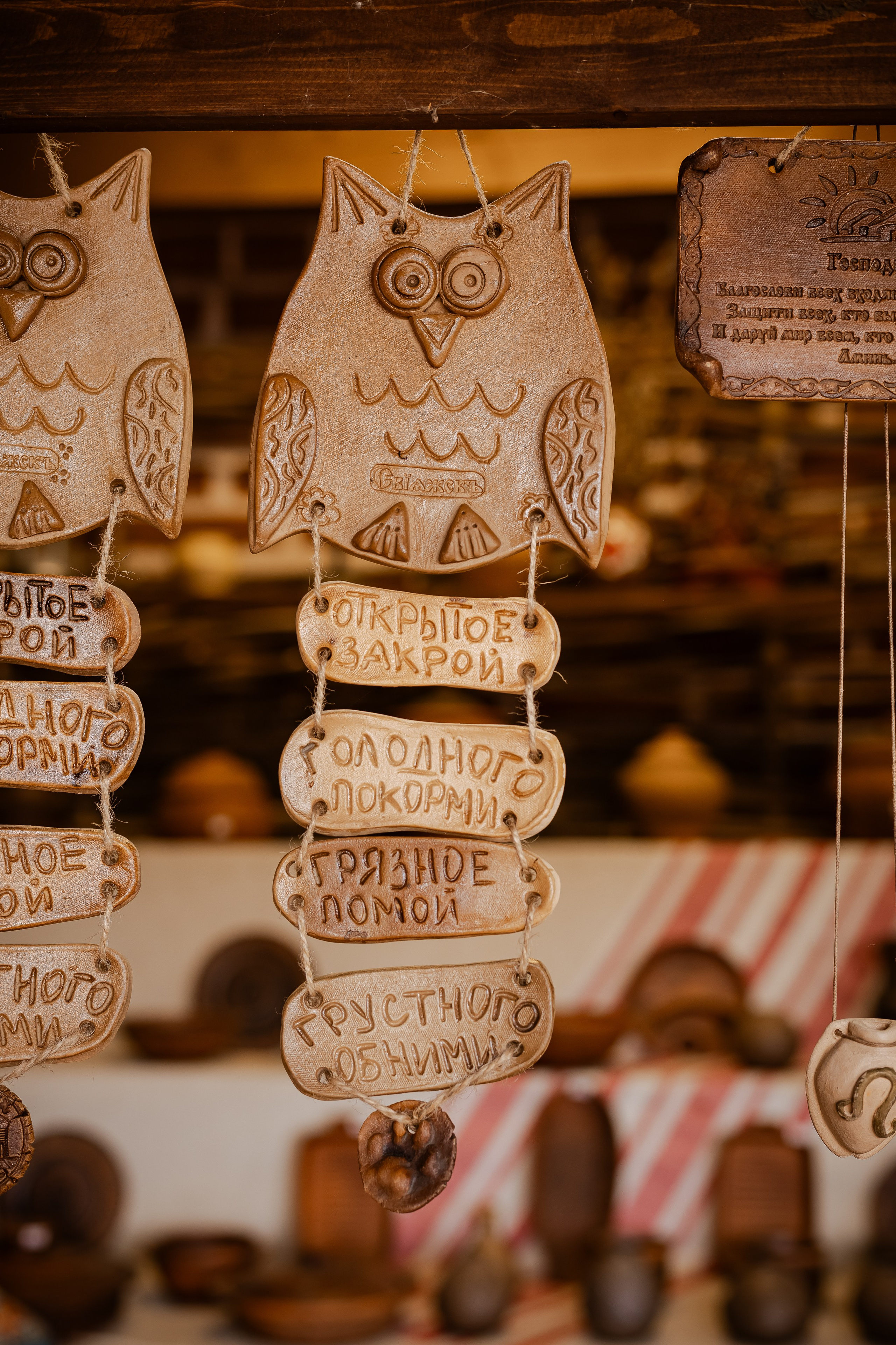 Фотосъемка собак, щенков, на выставках, фотограф анималист Россия воронеж. Питомник собак Акита, Хаски, Корги