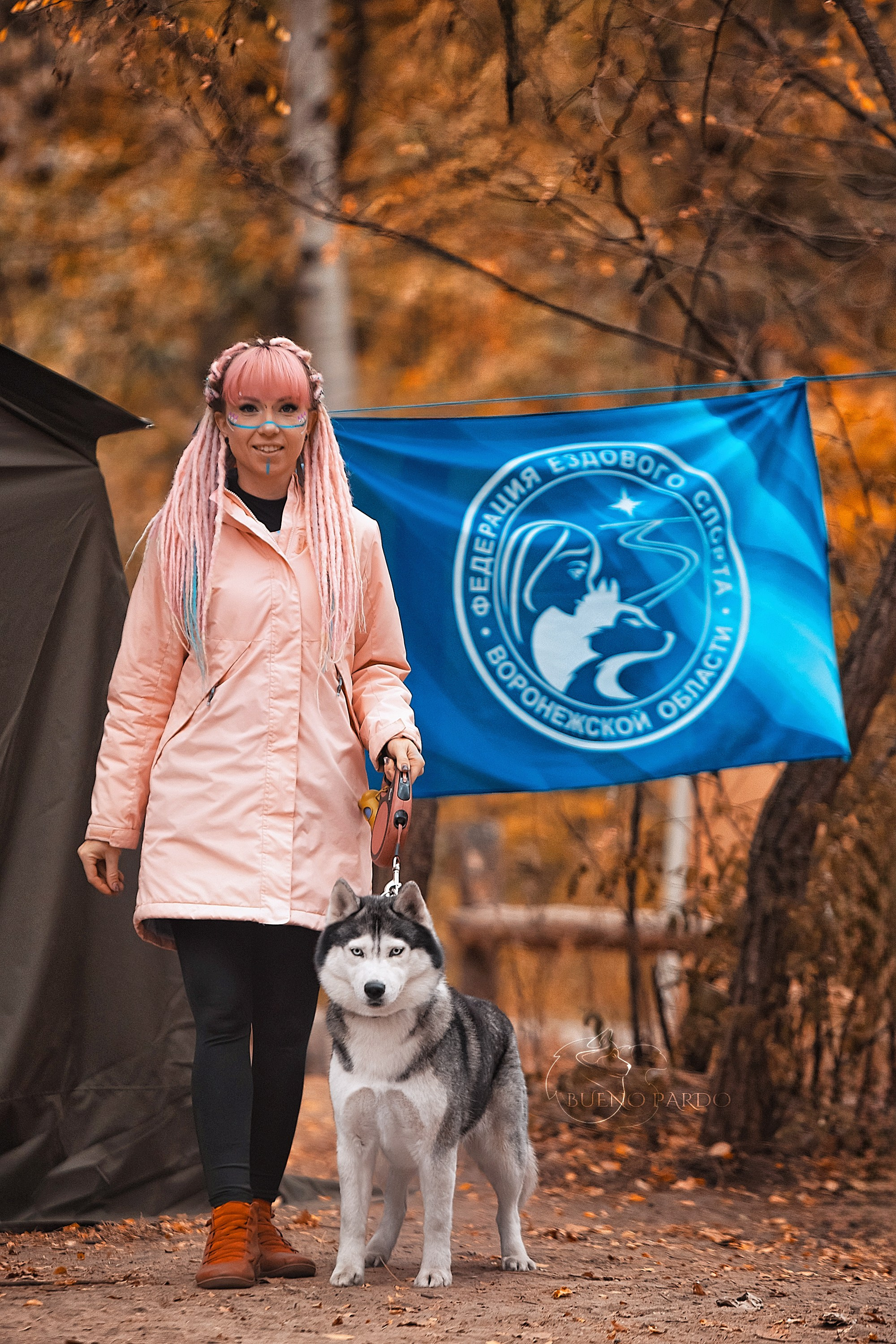 Ездовой спорт с хаски. Питомник собак Акита, Хаски, Корги