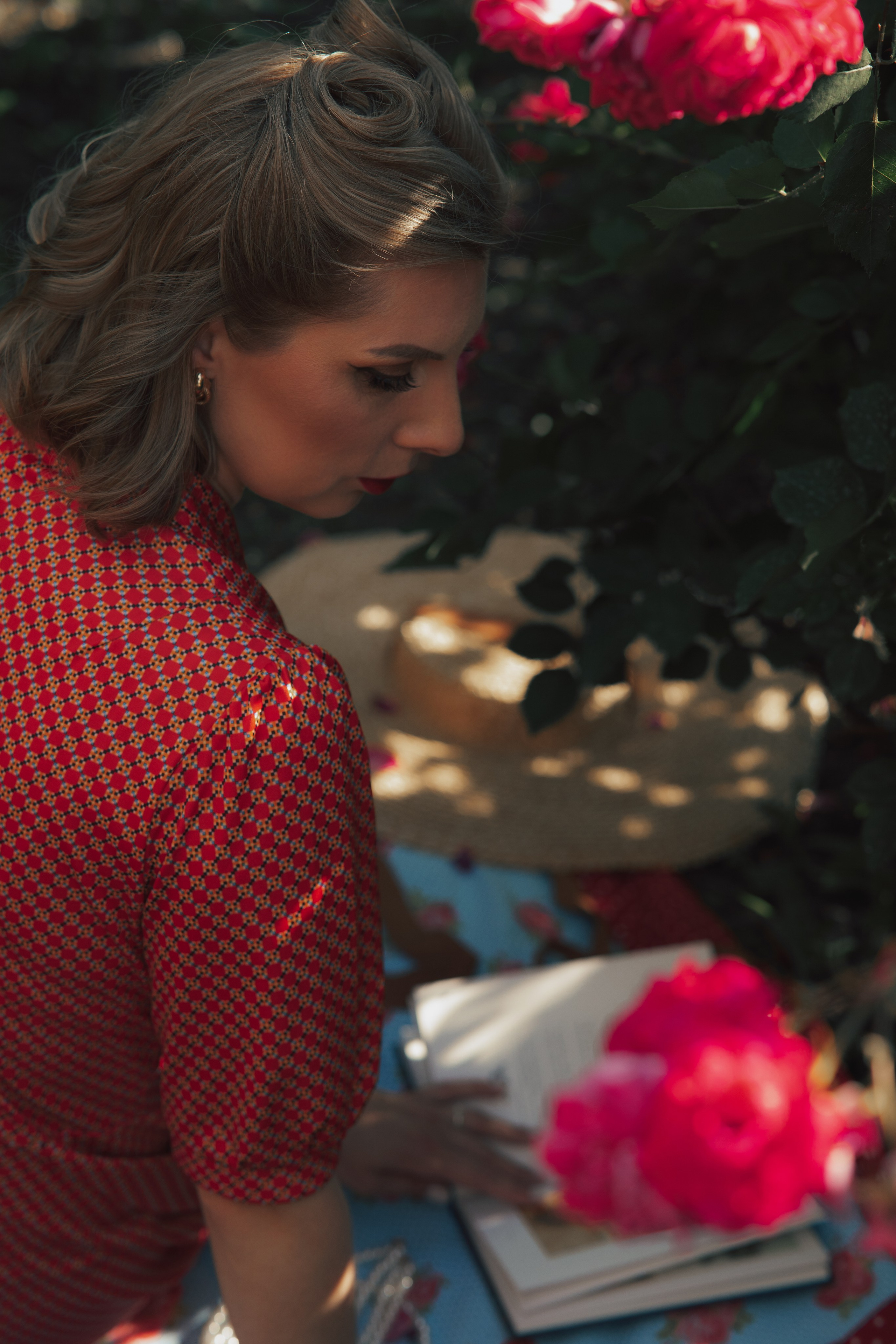 Розы. Фотограф Мария Зайчик