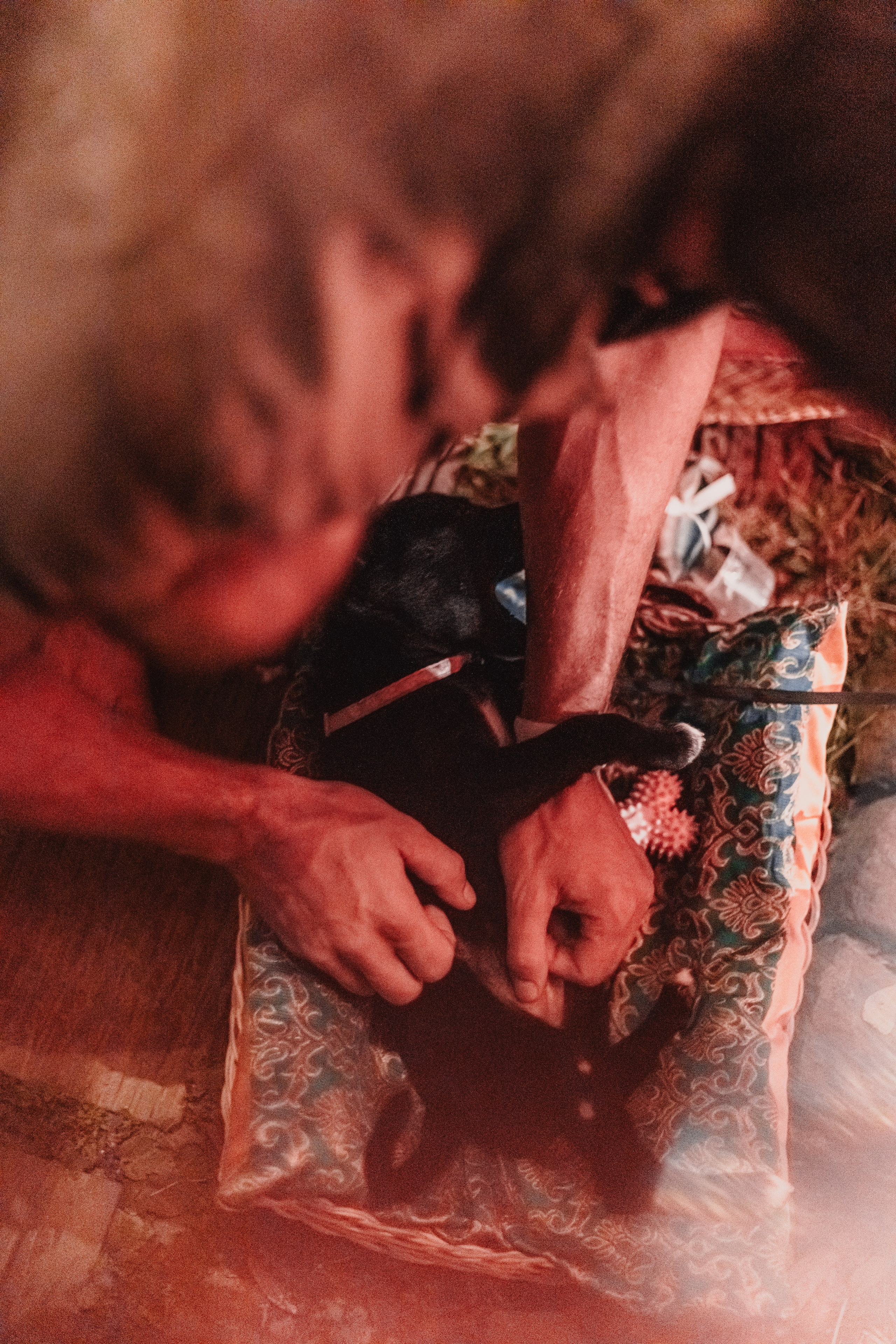 Mamatolia. Мариам Багдасарян