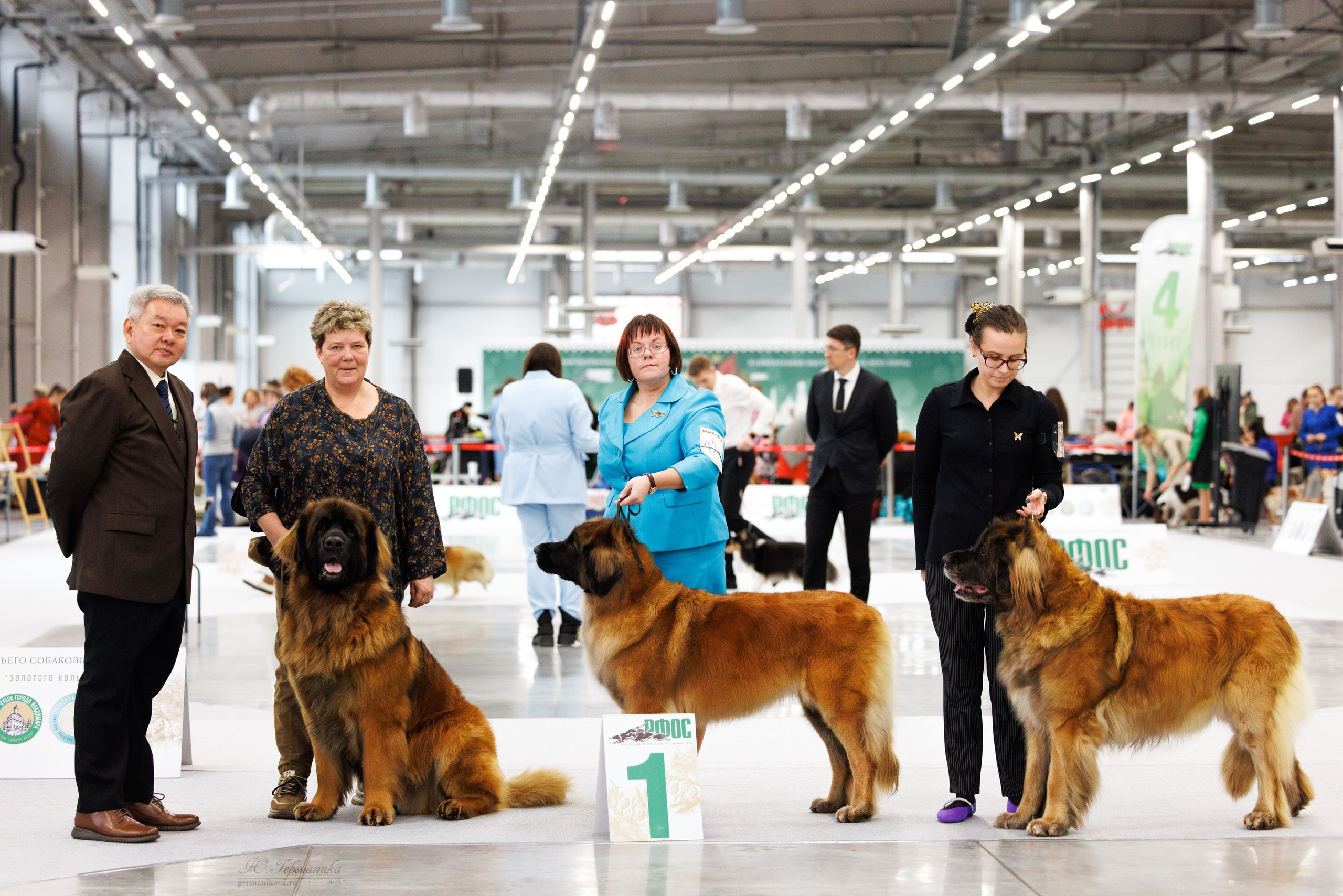 Казань Зилант 30-01.12 2024. Фотограф-анималист Юлия Германика