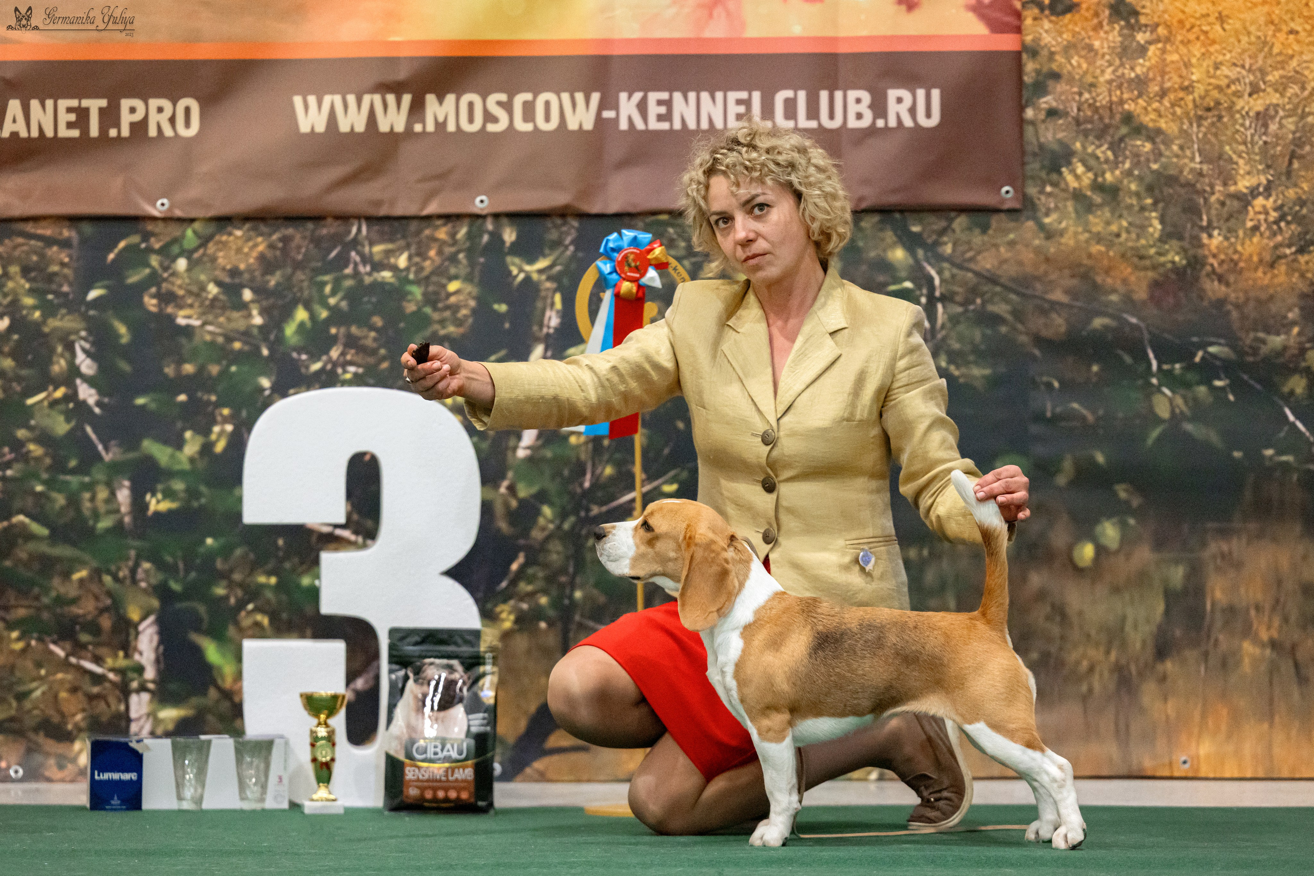 Сфера 29.10,Крокус 4.11,Сфера 12.11.2023. Фотограф-анималист Юлия Германика