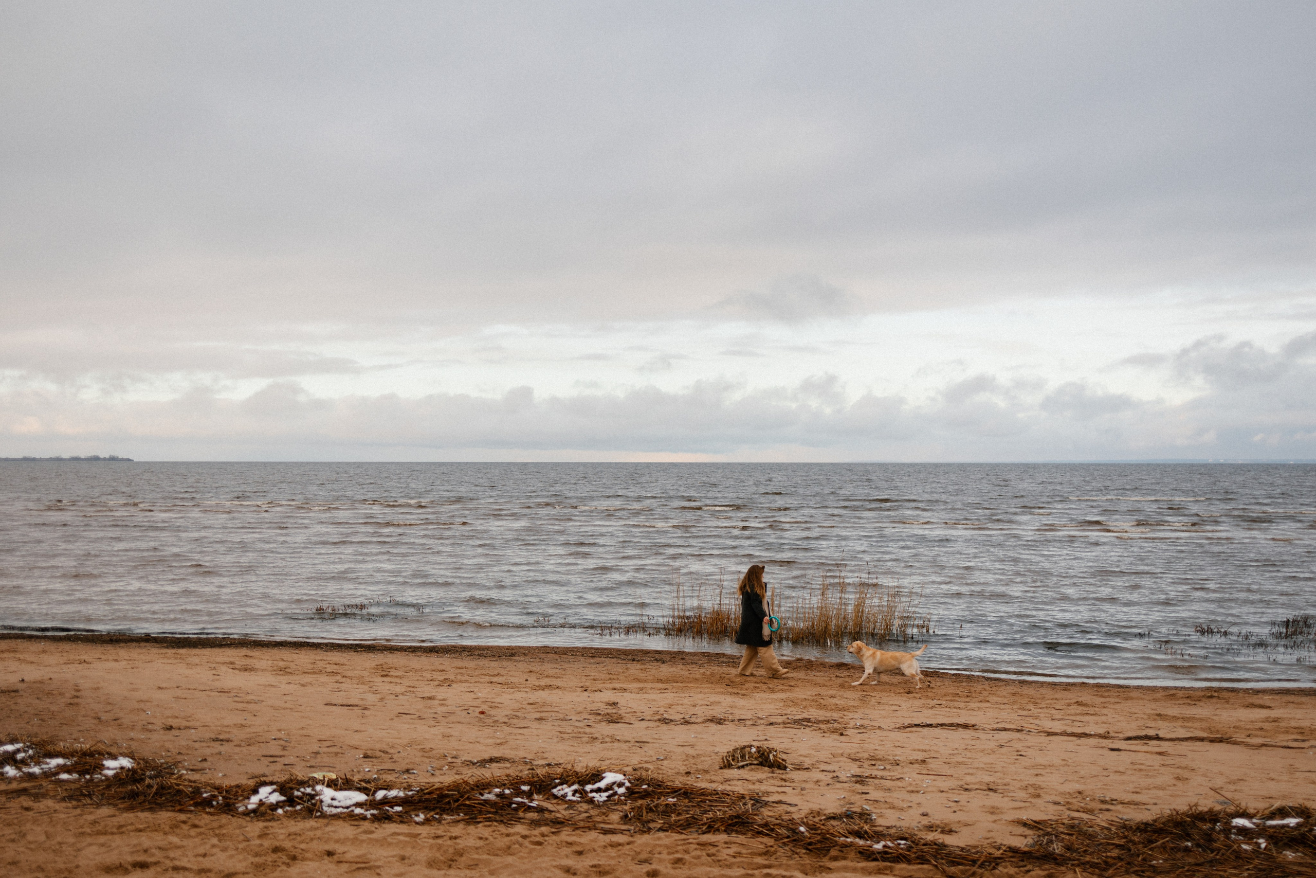 Ирина и Бася. Фотограф — Анималист | Санкт-Петербург