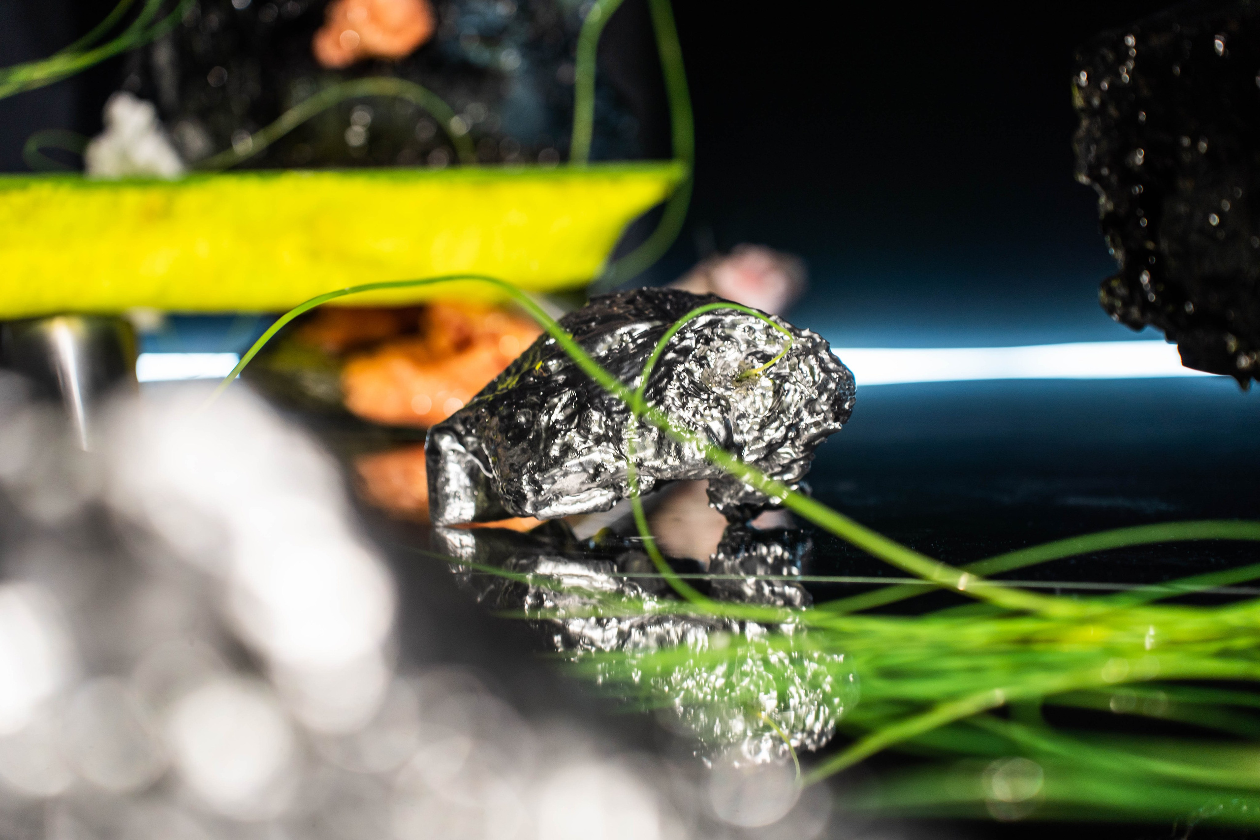 MARS. Фотограф Абакумова Анастасия