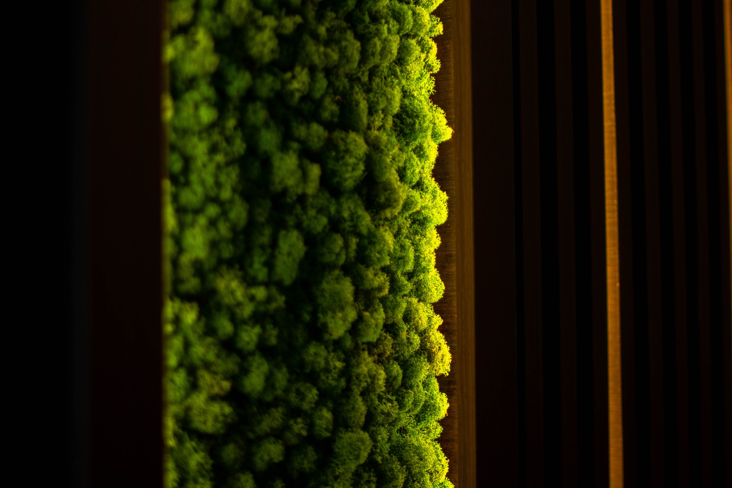 Резиденция Villingston. Коммерческий Фотограф Виктор Фоменых