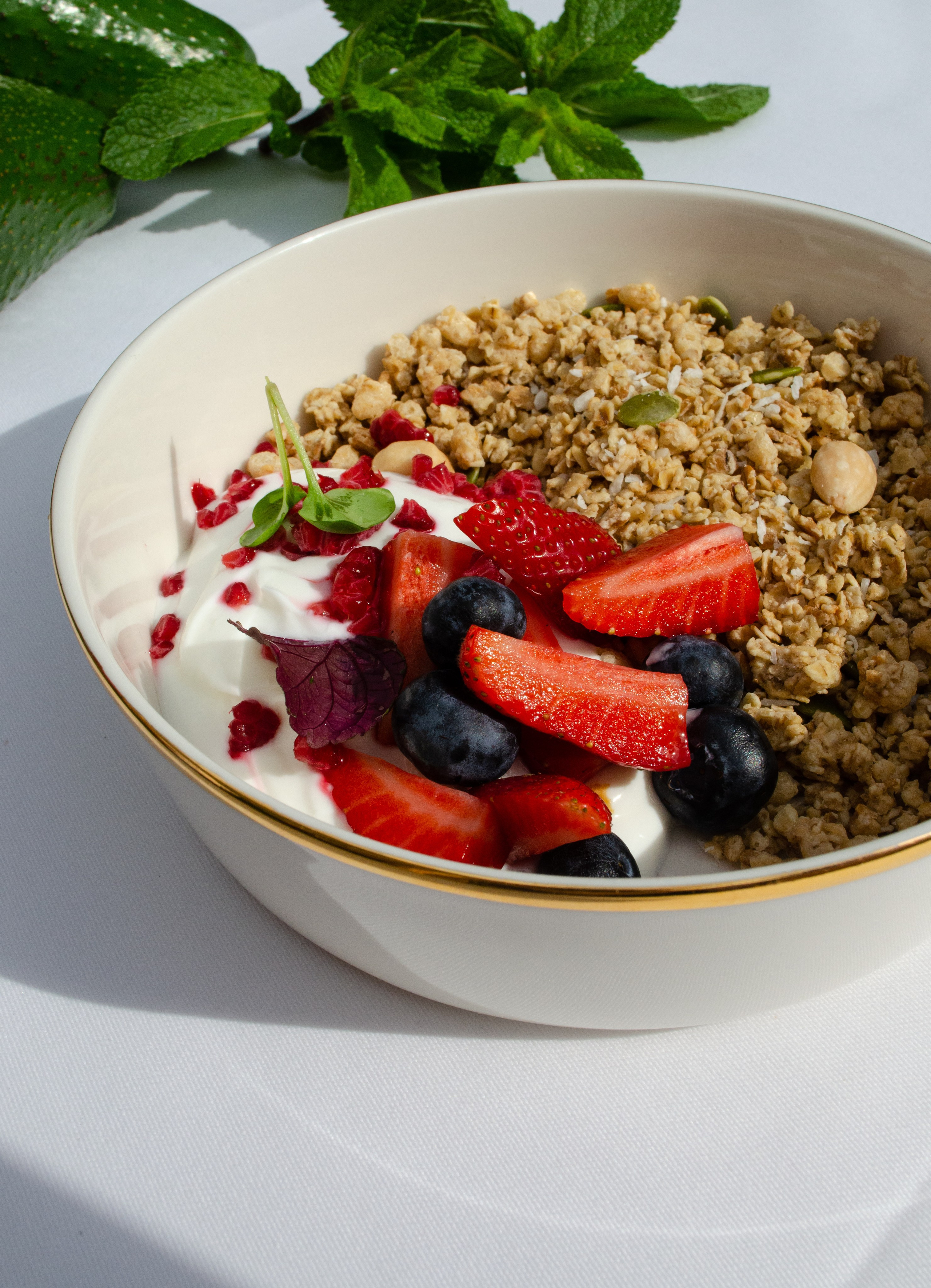 Роза Хутор Modys ресторан. Фотограф