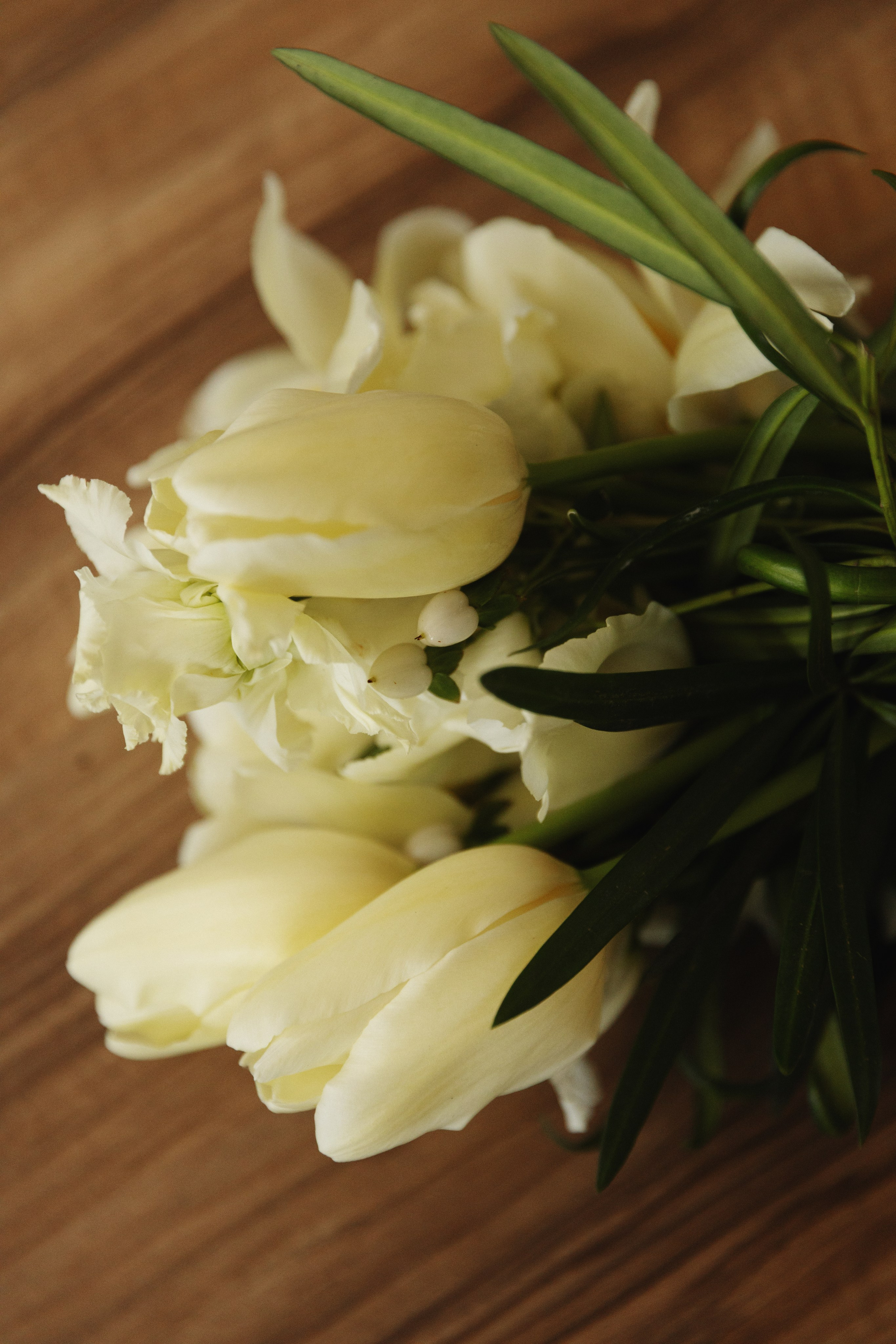 Алида & Максим