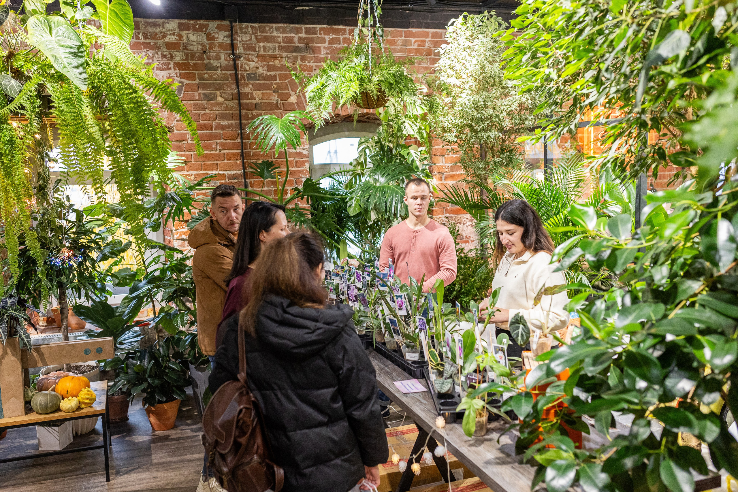GreenRare ярмарка 2024. Александра Куликова фотограф, Москва