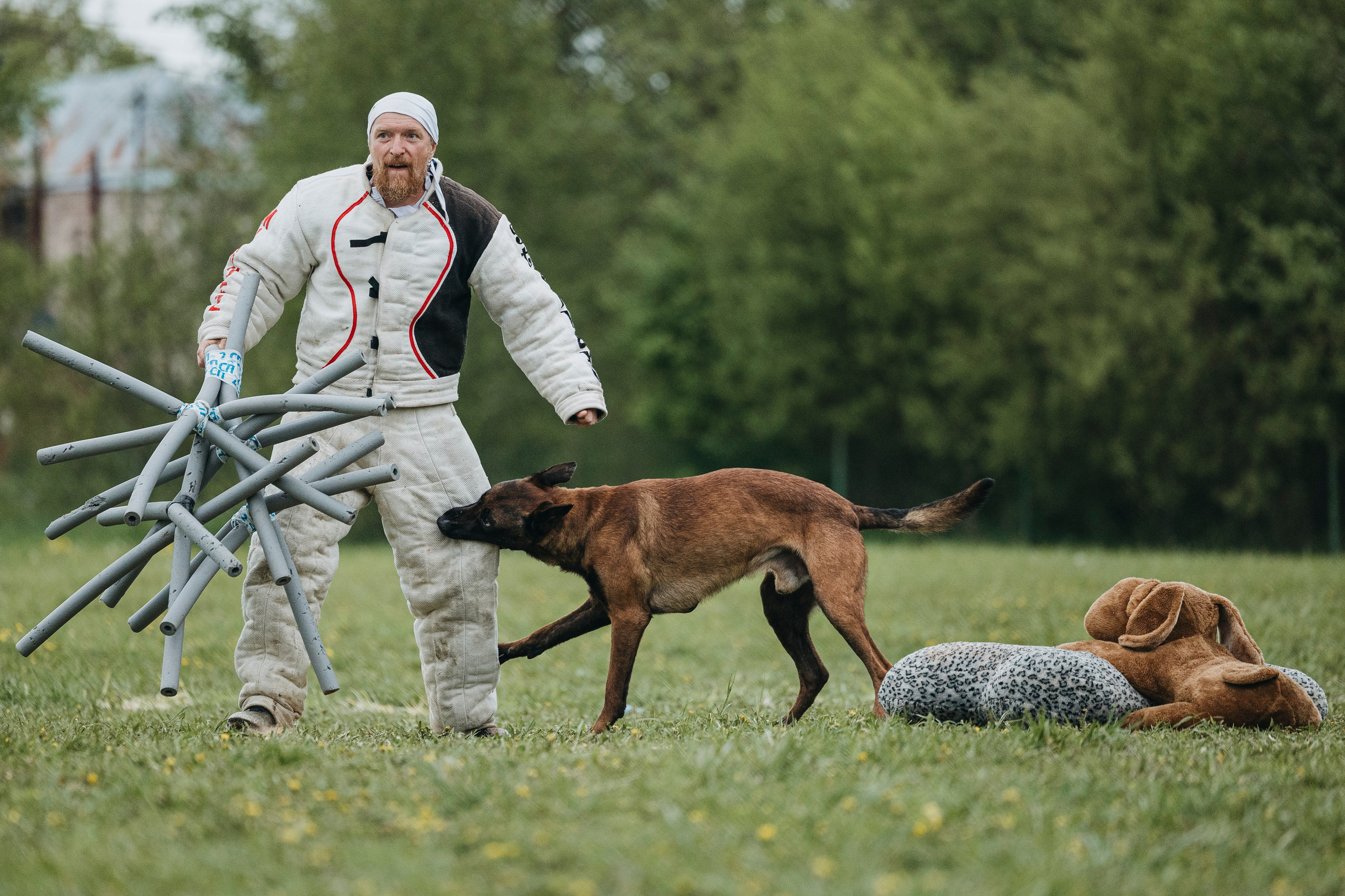 26.05.25 г. Пушкин квалификационные соревнования. Фотограф-анималист Анна Маринич