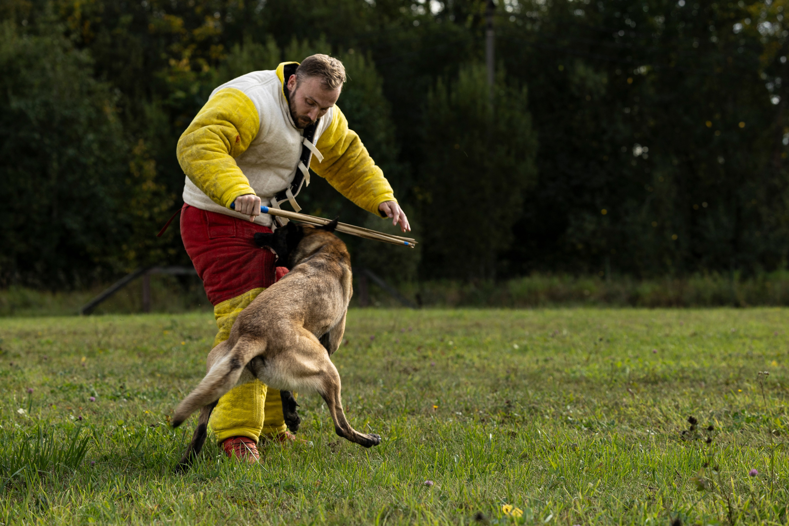 Испытания по Мондьорингу г. Пушкин. Фотограф-анималист Анна Маринич