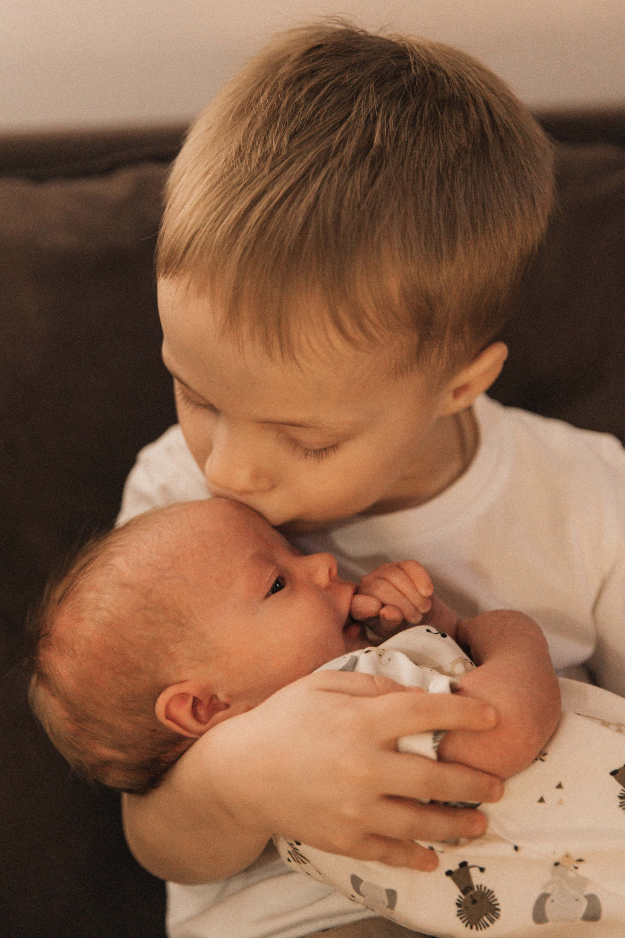 Лев. Фотограф Анастасия Петрова
