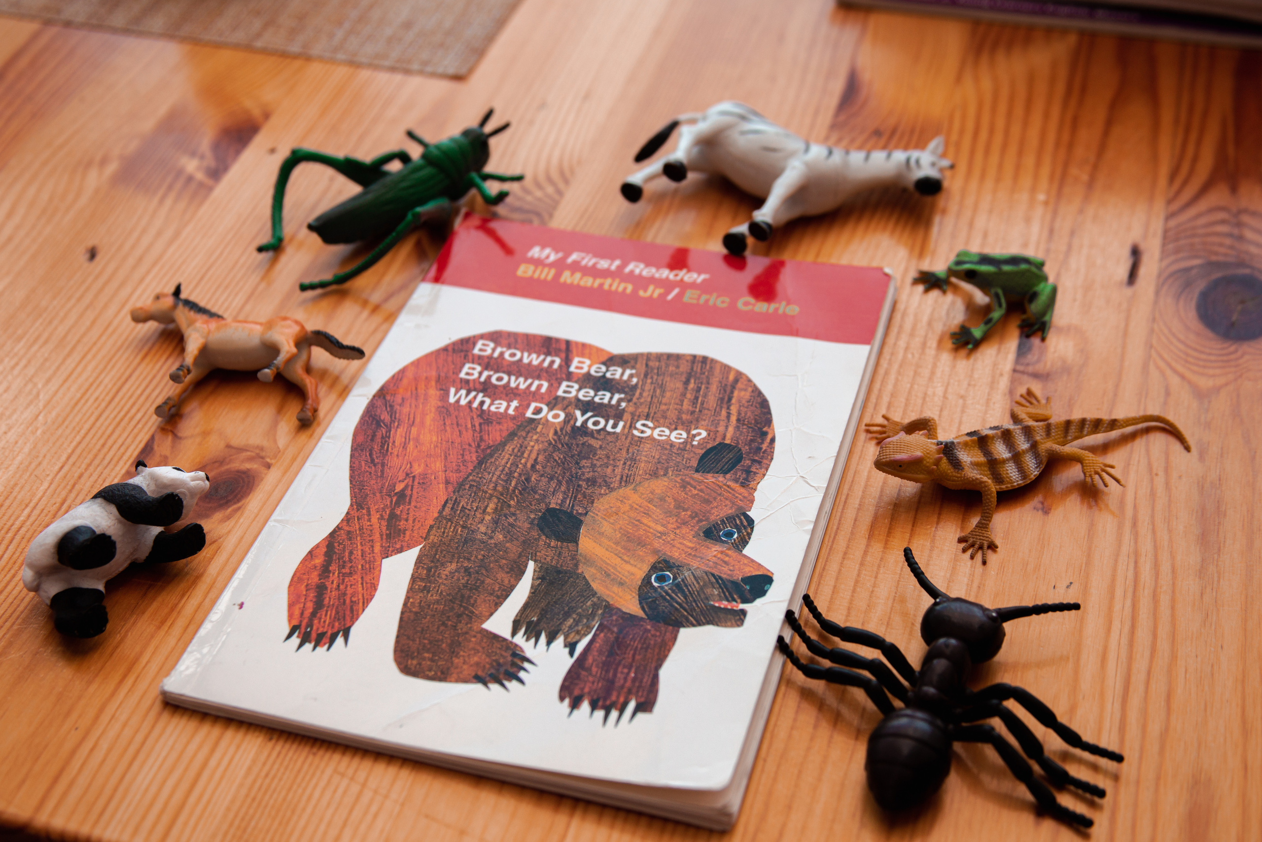 Валентина (блог английский язык). Фотограф/Контент-фотограф в Гусь-Хрустальном Валентина Ванюхина