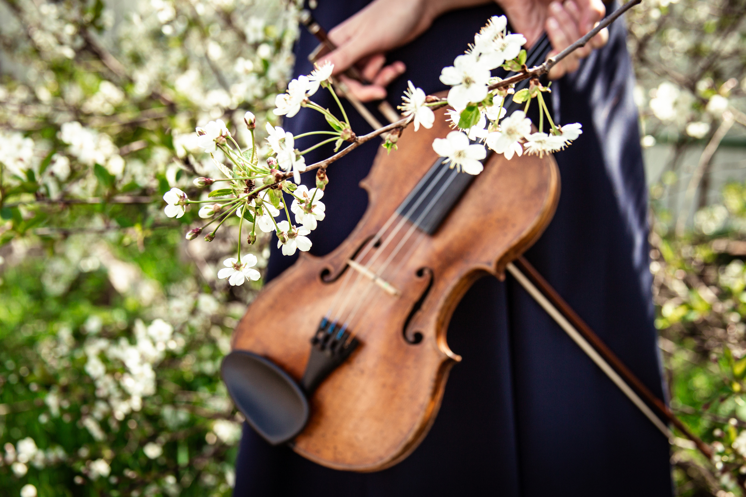 Ревека. Фотограф/Контент-фотограф в Гусь-Хрустальном Валентина Ванюхина