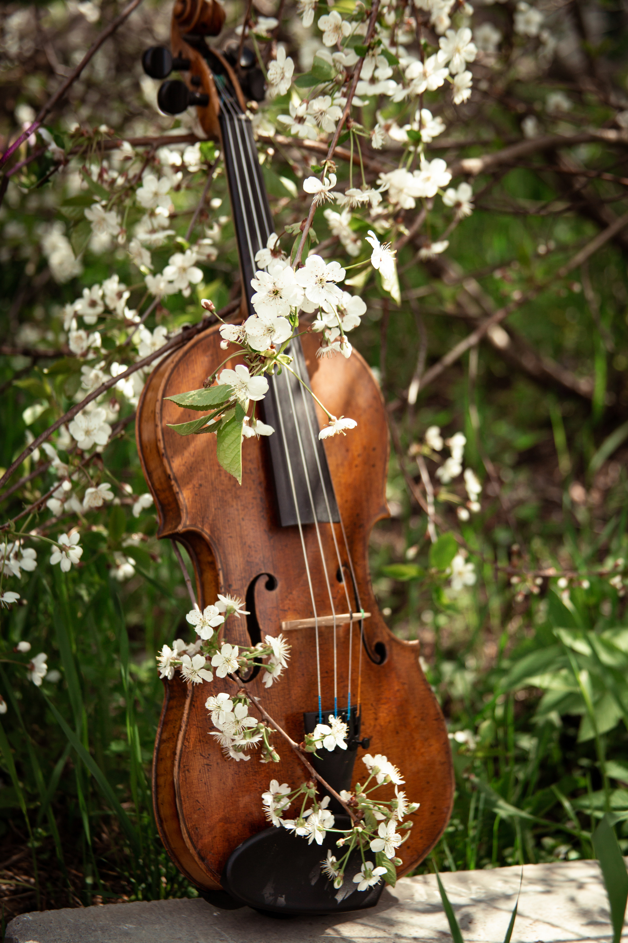 Ревека. Фотограф/Контент-фотограф в Гусь-Хрустальном Валентина Ванюхина