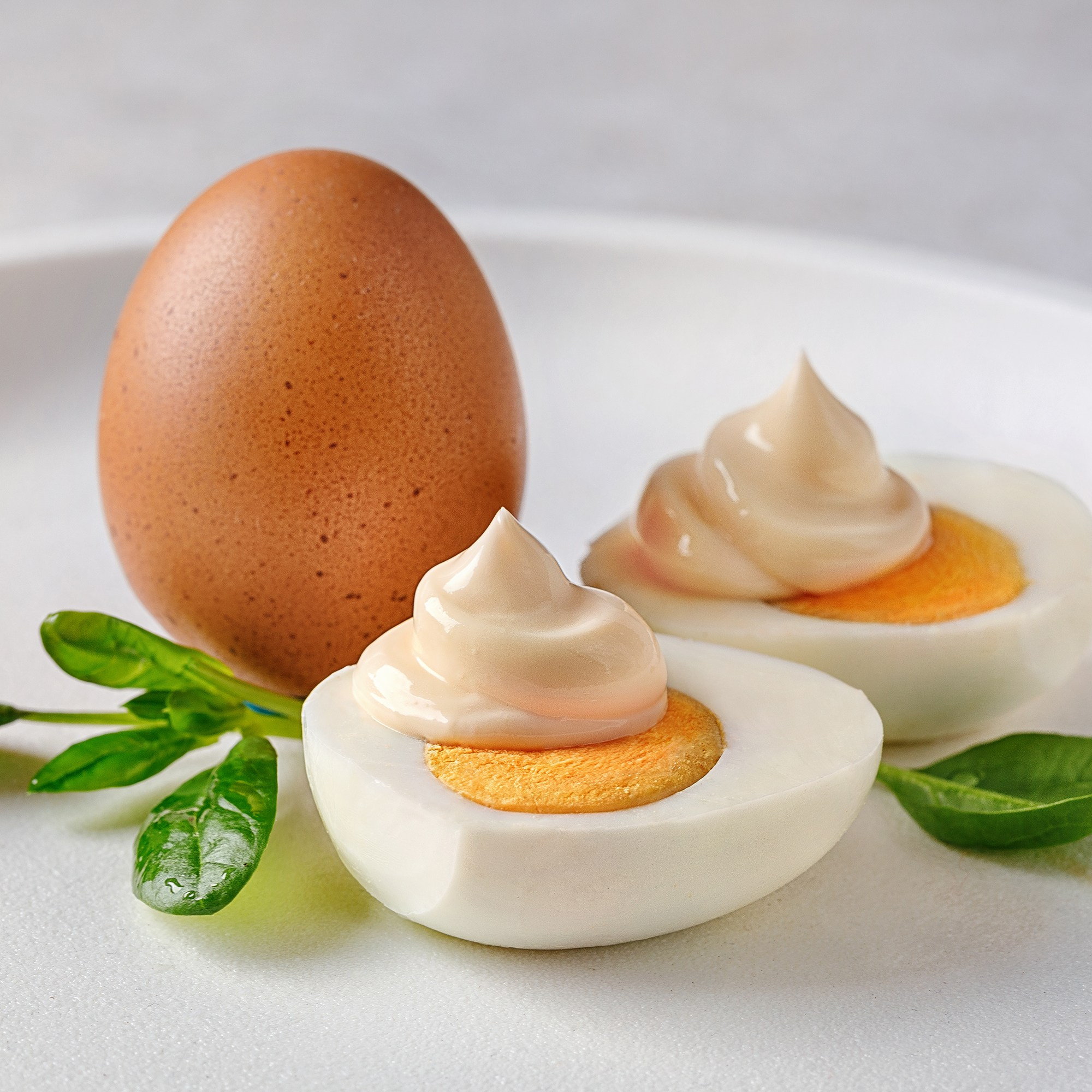 «Волжанин»