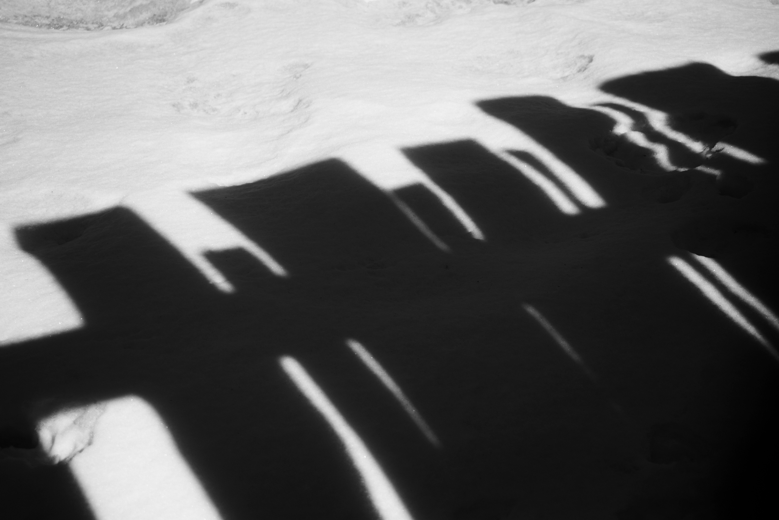 Blg. Фотограф Анастасия Якимова