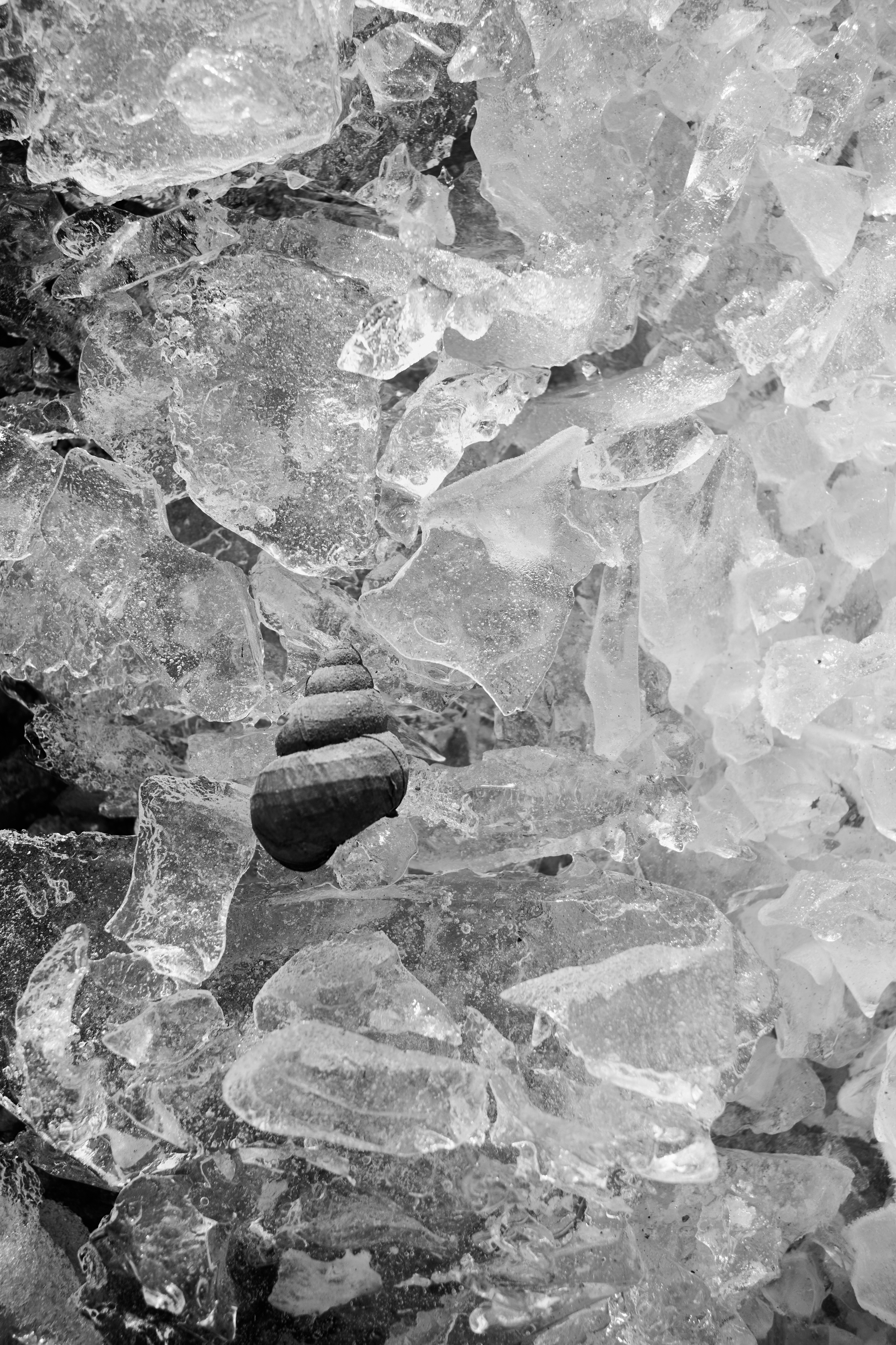 Blg. Фотограф Анастасия Якимова