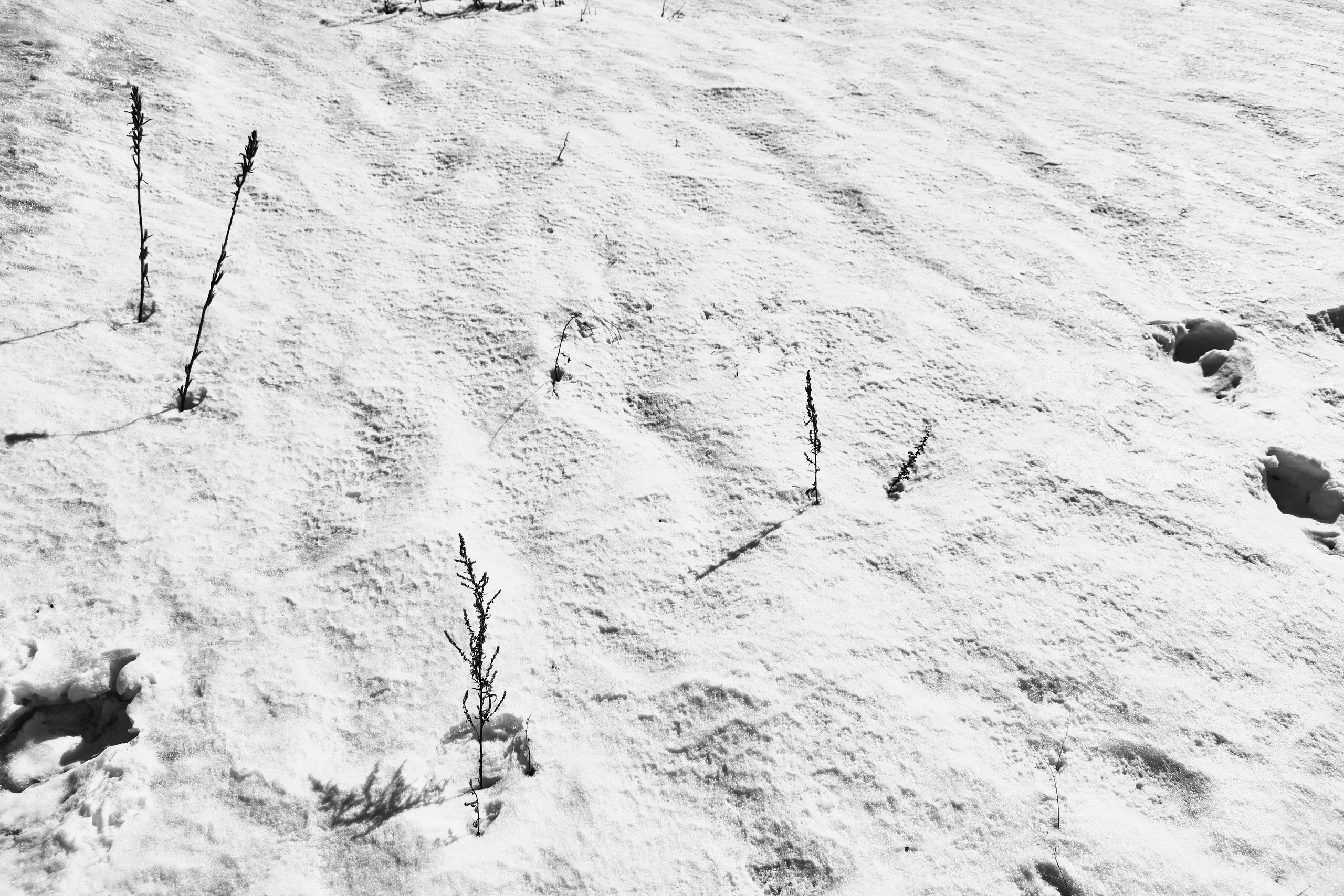 Blg. Фотограф Анастасия Якимова