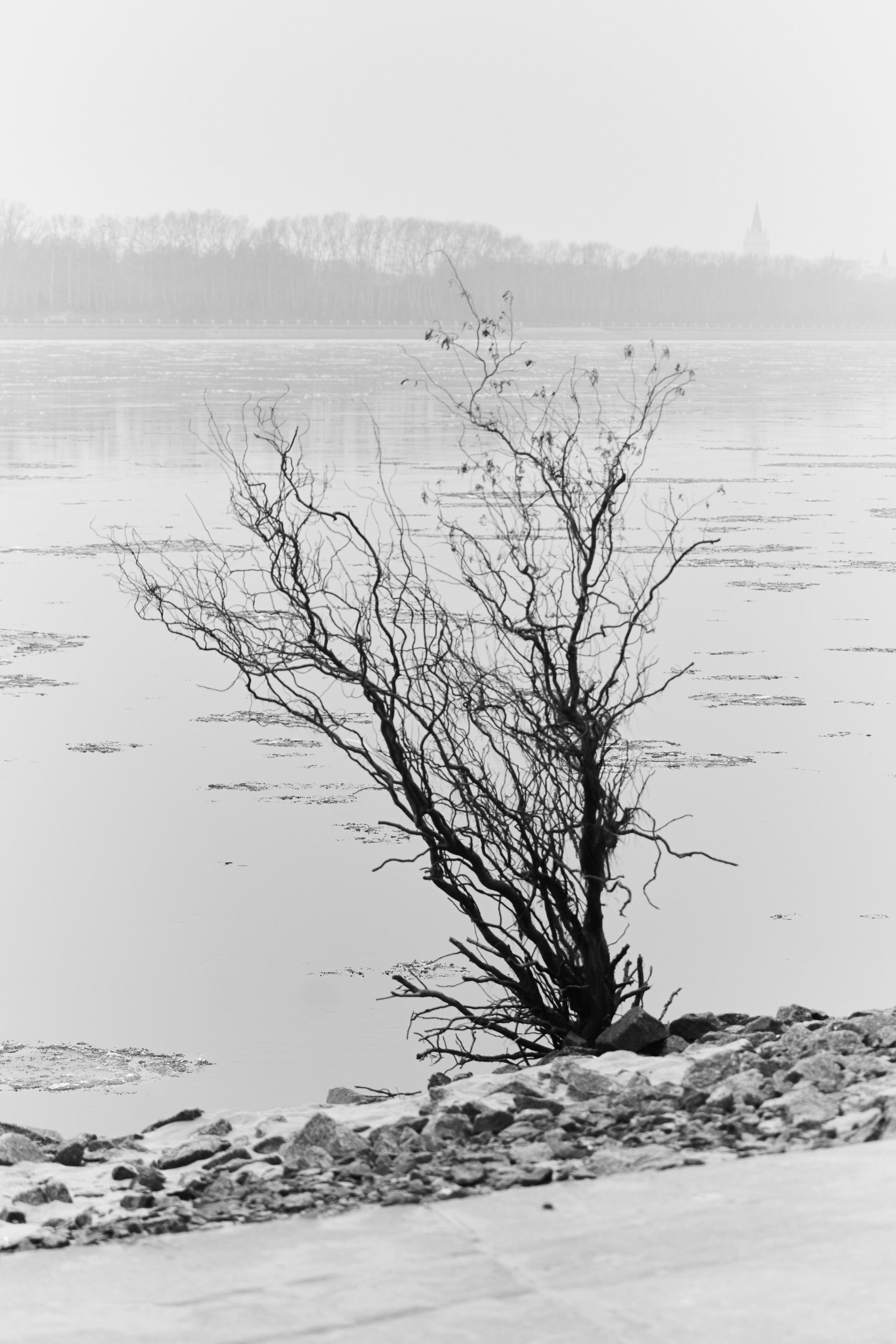 River. Фотограф Анастасия Якимова