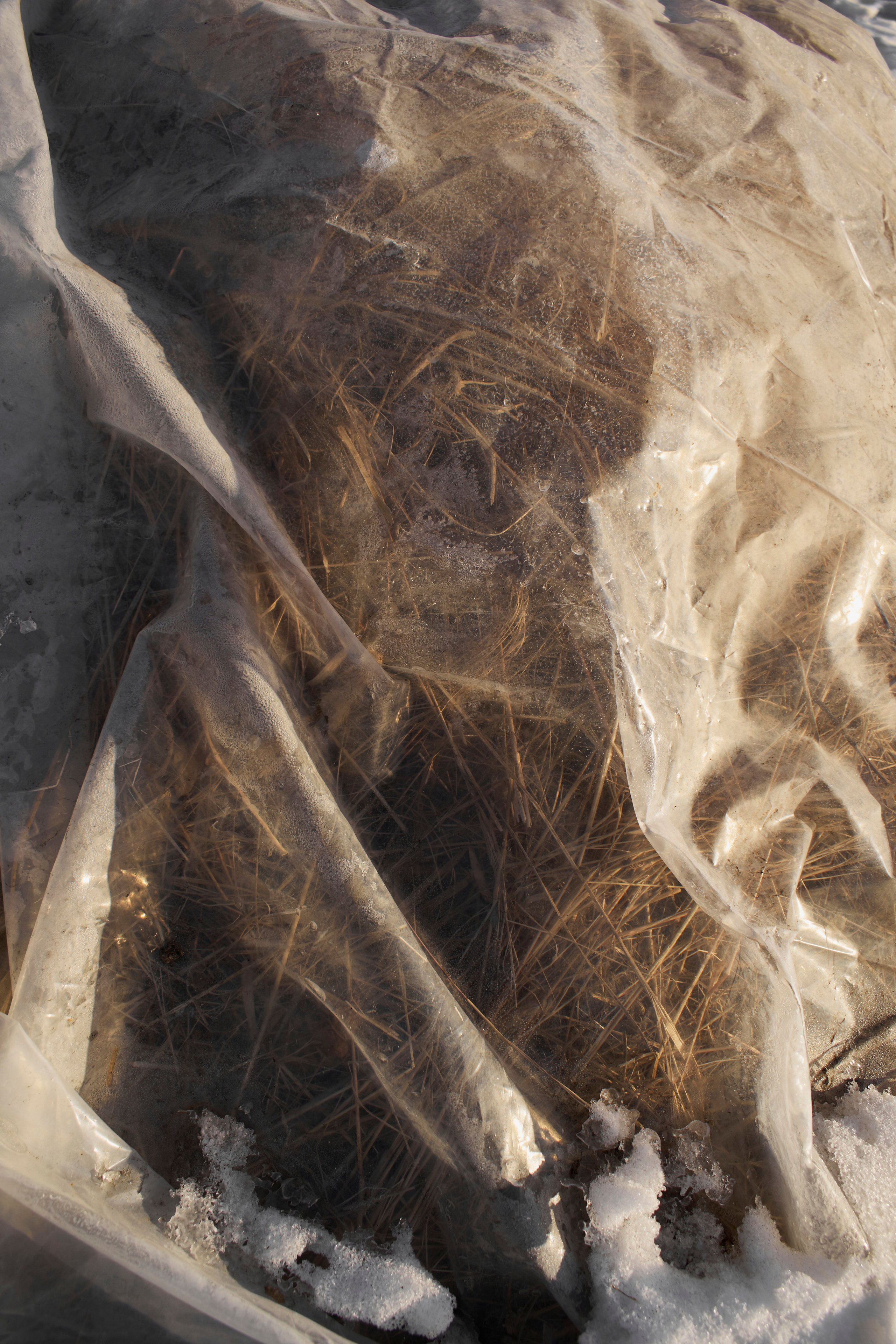 Blg. Фотограф Анастасия Якимова