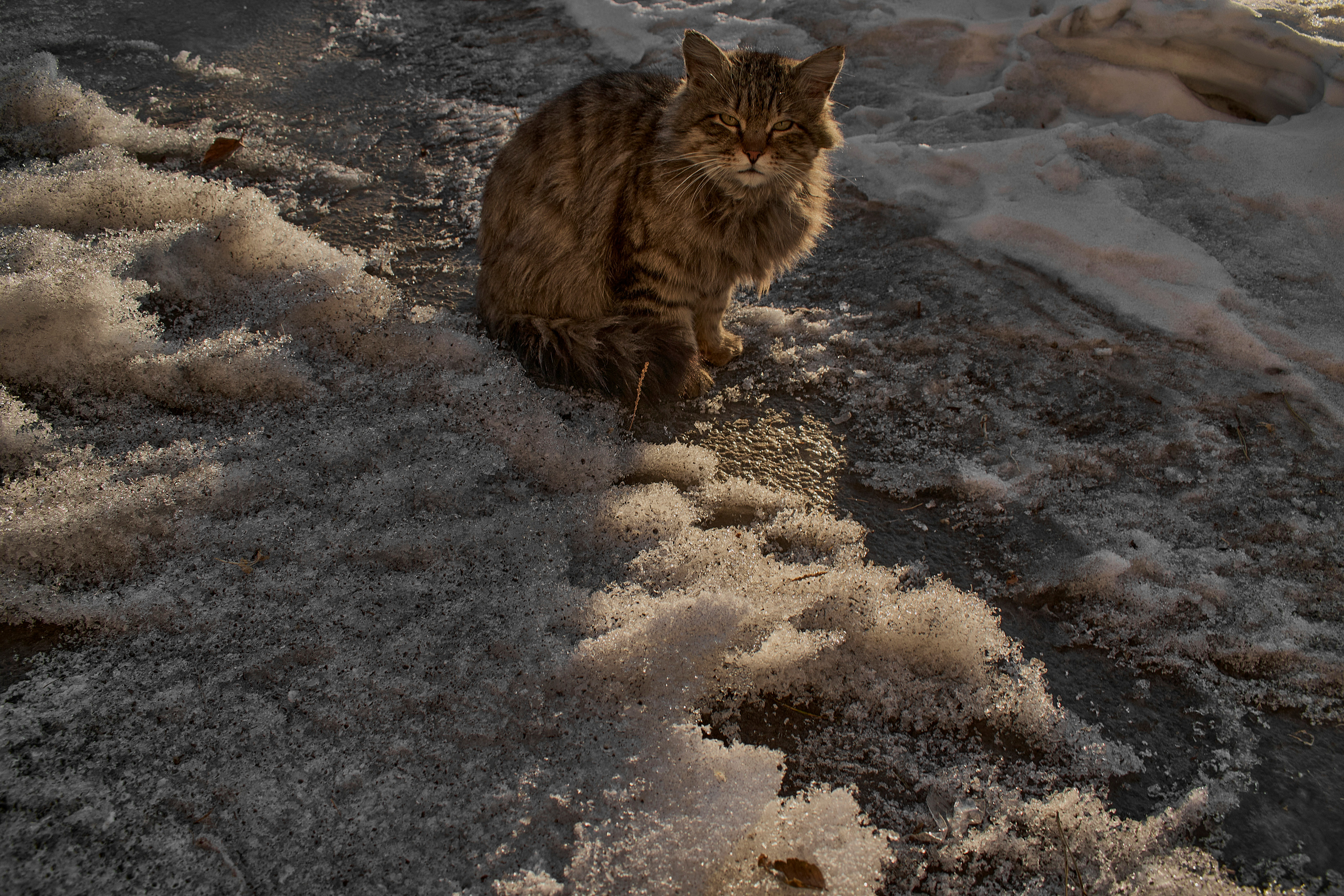 Blg. Фотограф Анастасия Якимова