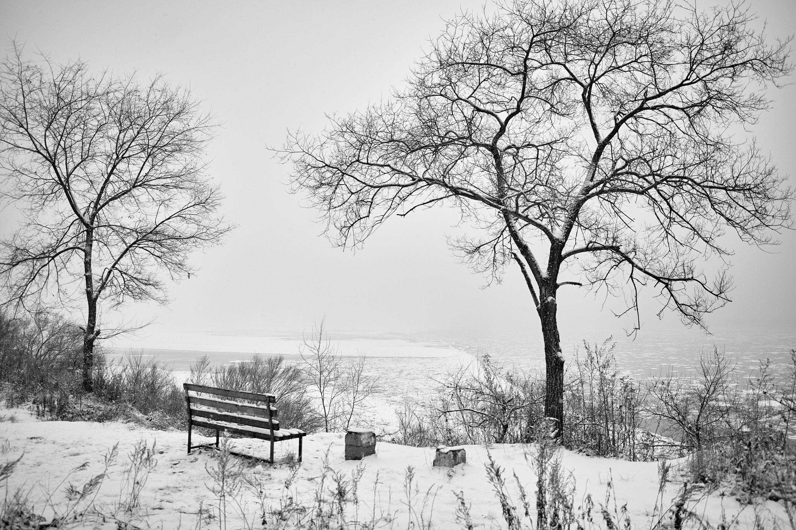 River. Фотограф Анастасия Якимова