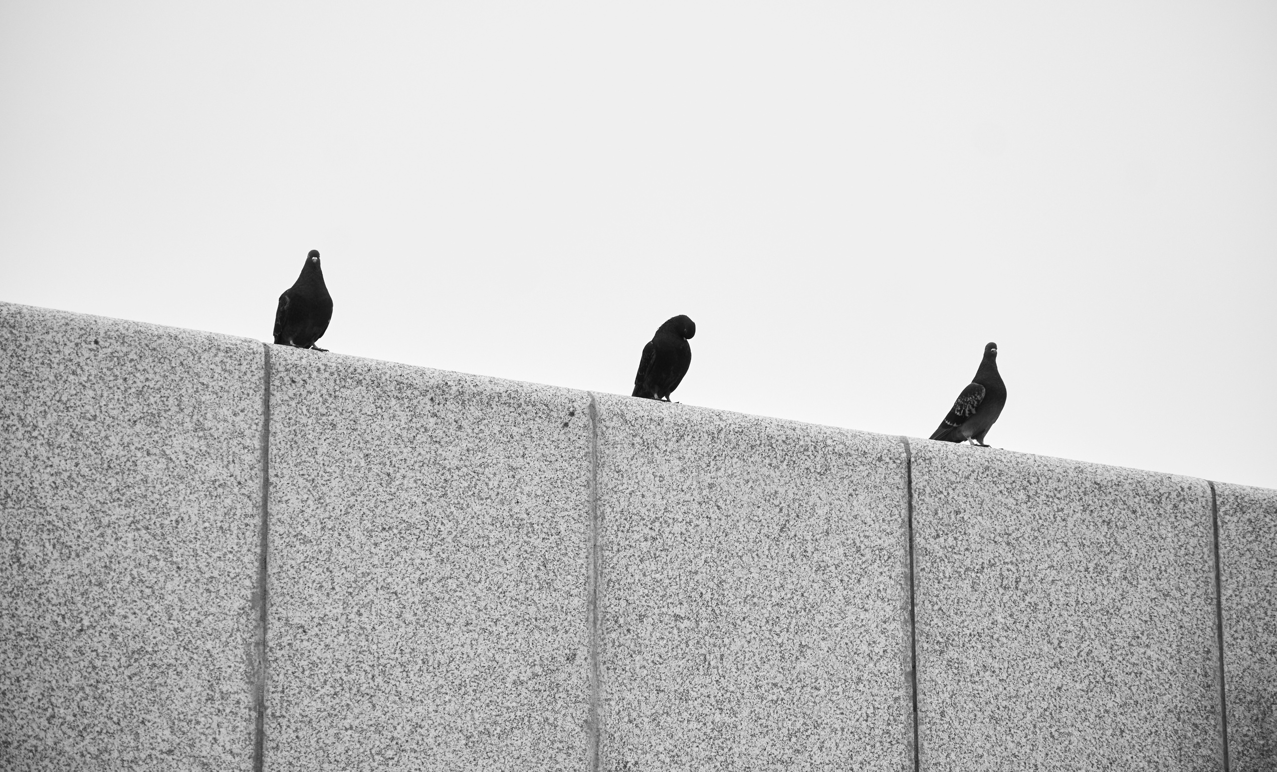 River. Фотограф Анастасия Якимова