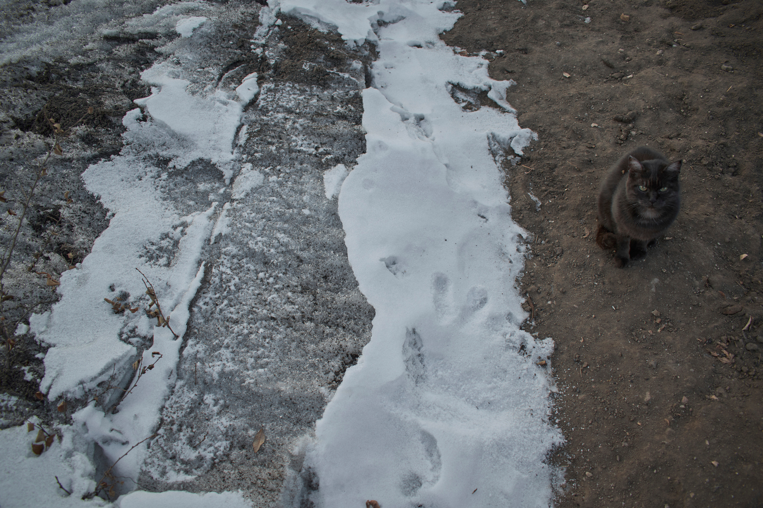 Blg. Фотограф Анастасия Якимова