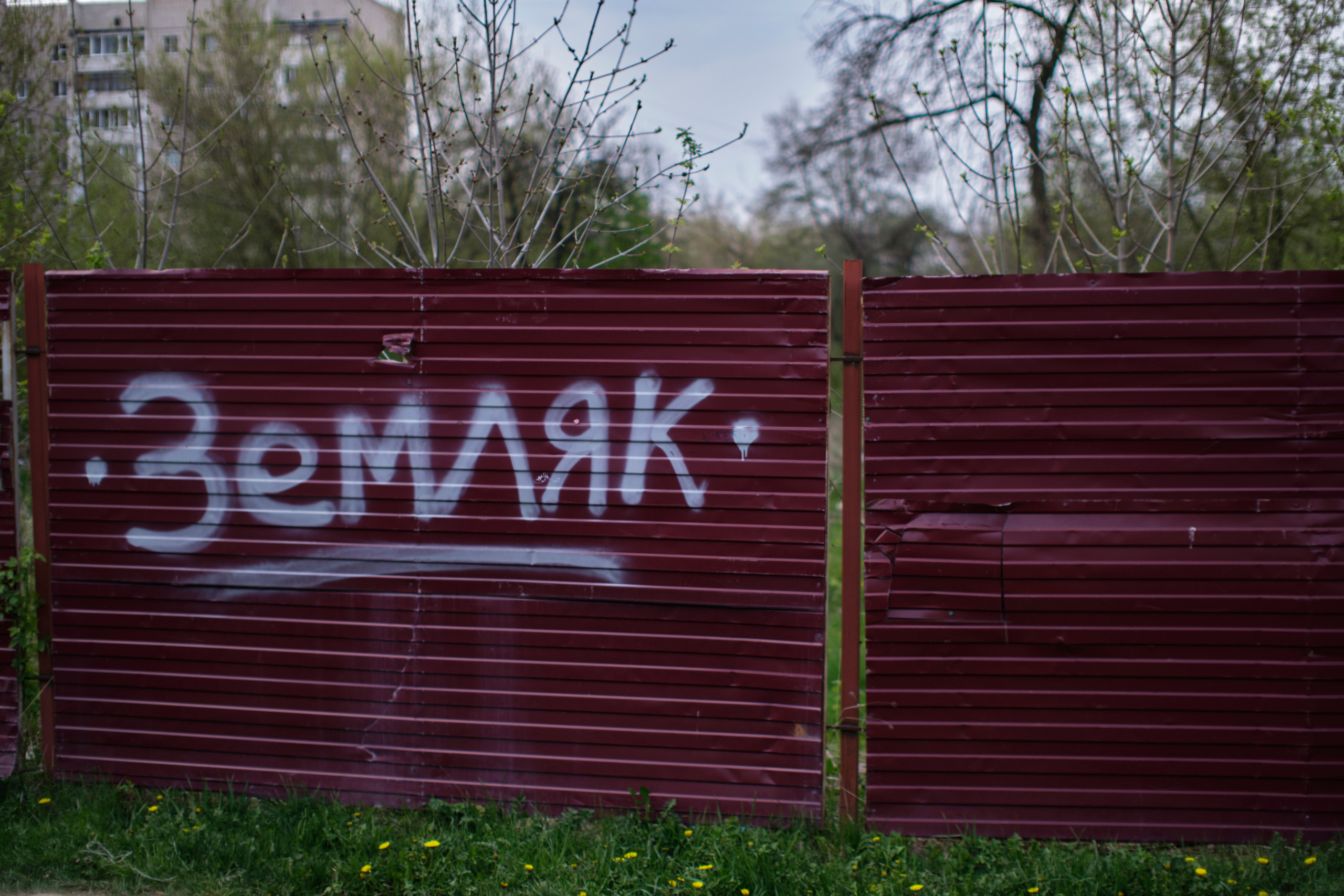 Orel. Фотограф Анастасия Якимова