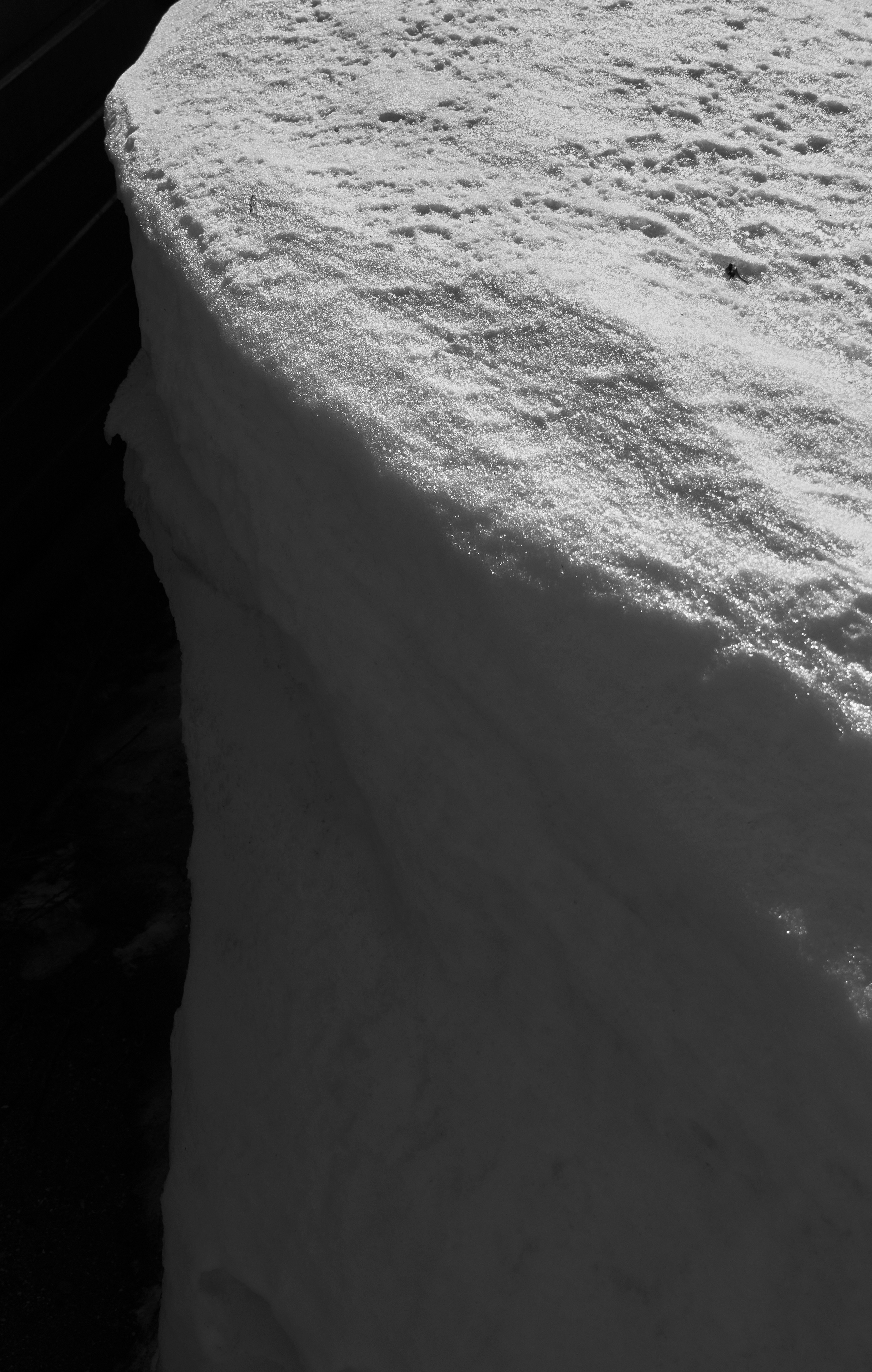 Blg. Фотограф Анастасия Якимова