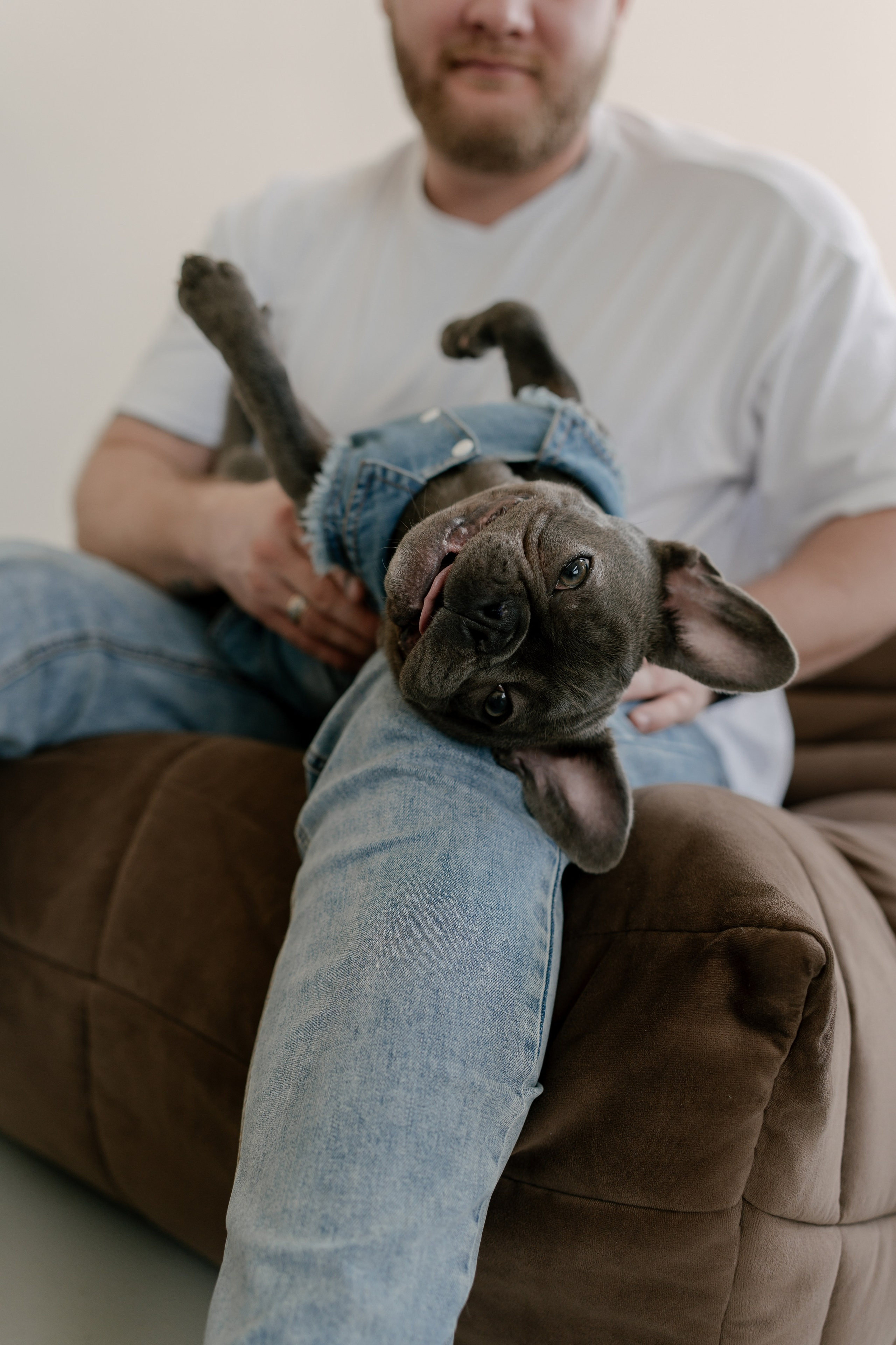 Сергей, Вероника и Руна. Свадебный и семейный фотограф в Москве и Красногорске — живые кадры | Анастасия Тихонова
