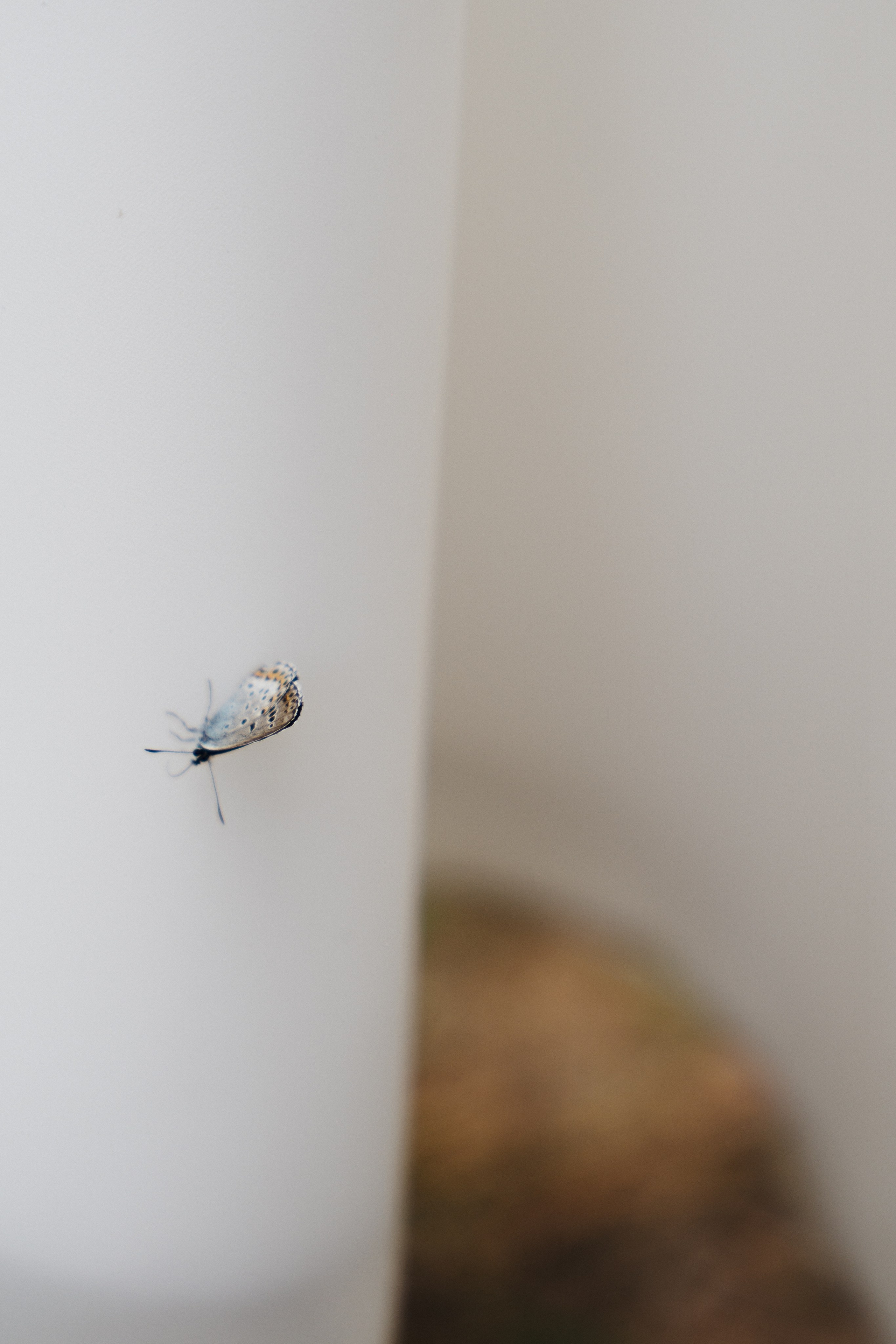 WEDDING. Свадебный Фотограф Чита Малахов Филипп