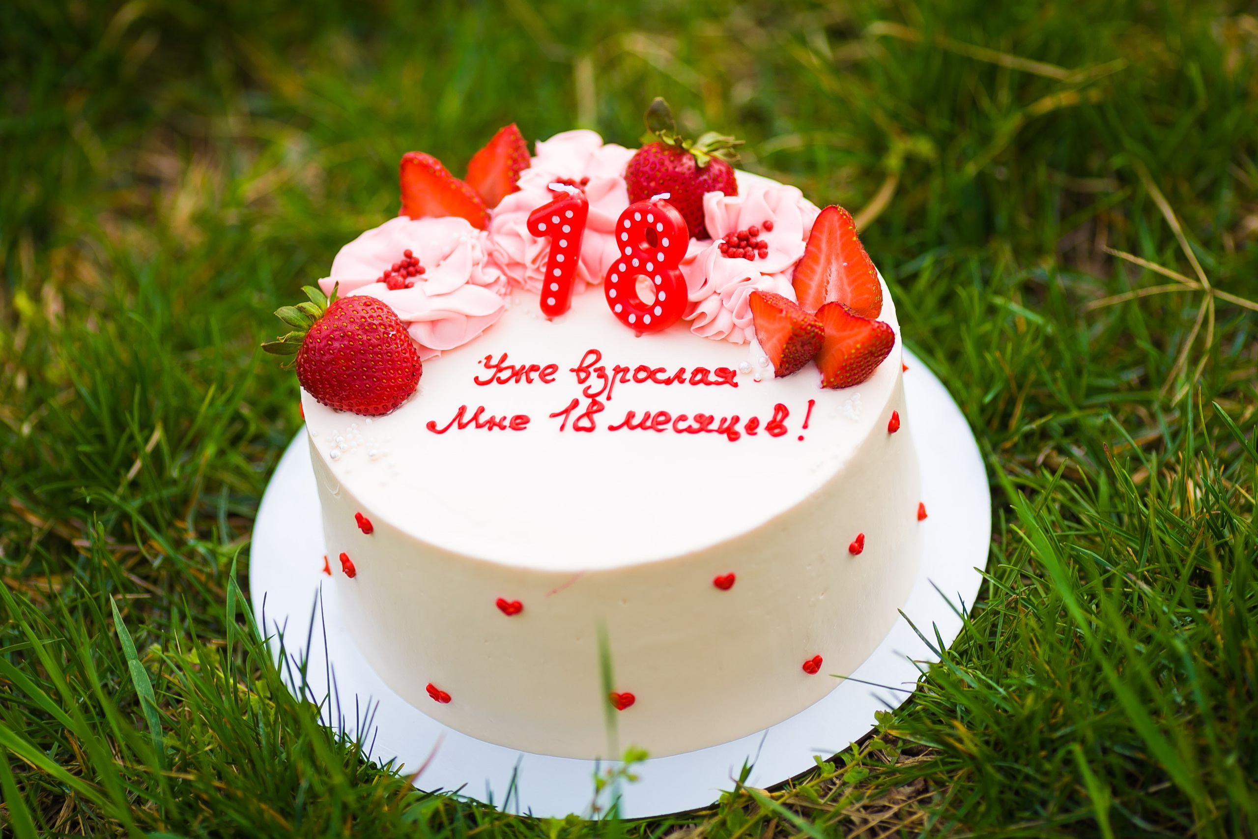 Парк. Дизайн интерьера Керчь, дизайнер интерьера Еремина Мария Керчь, Симфер