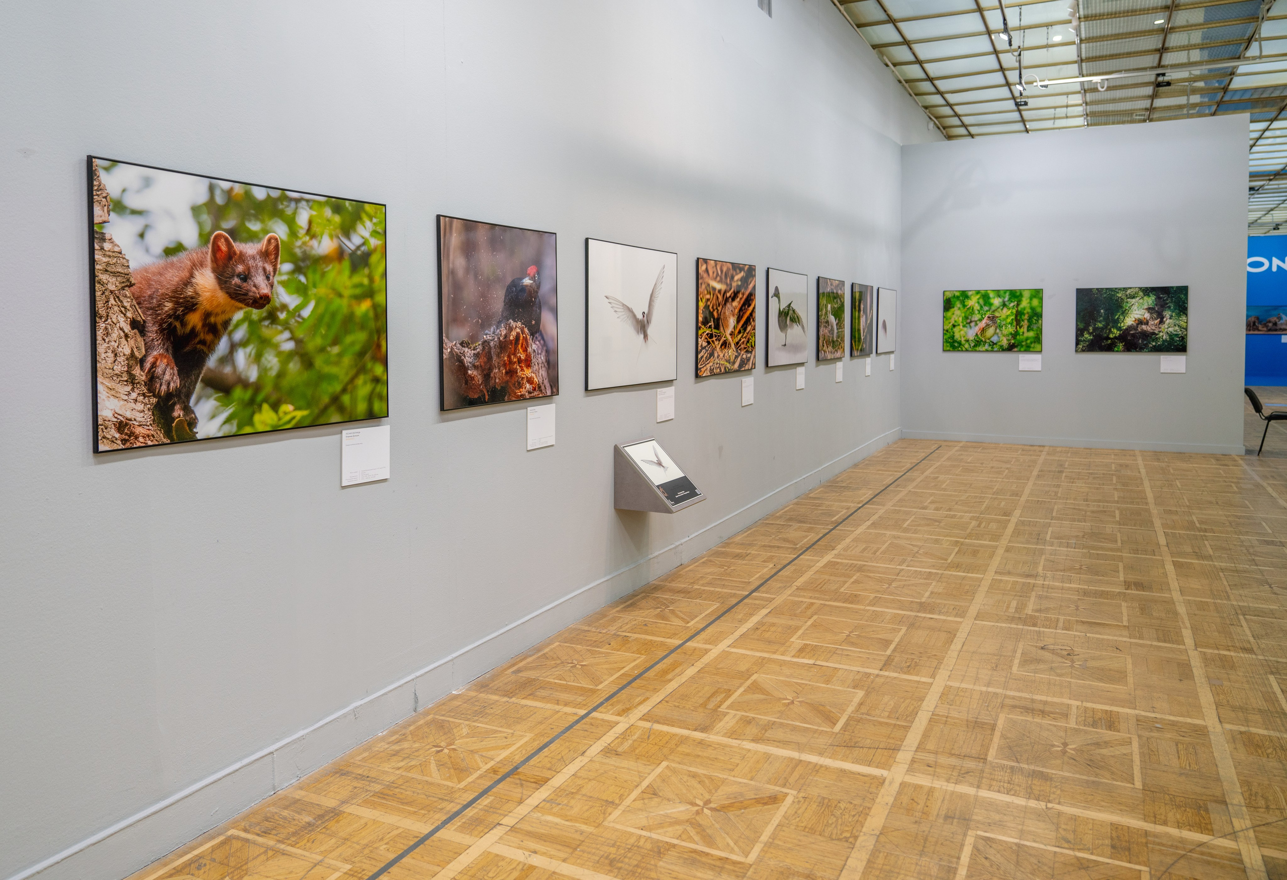 Достижения. Константин Дем | Фотограф