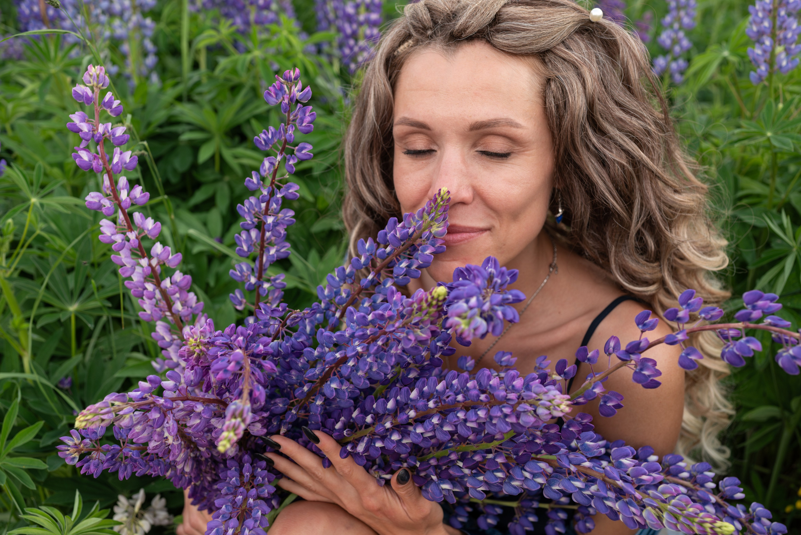 Люпины. Светлана Агалакова Фотограф