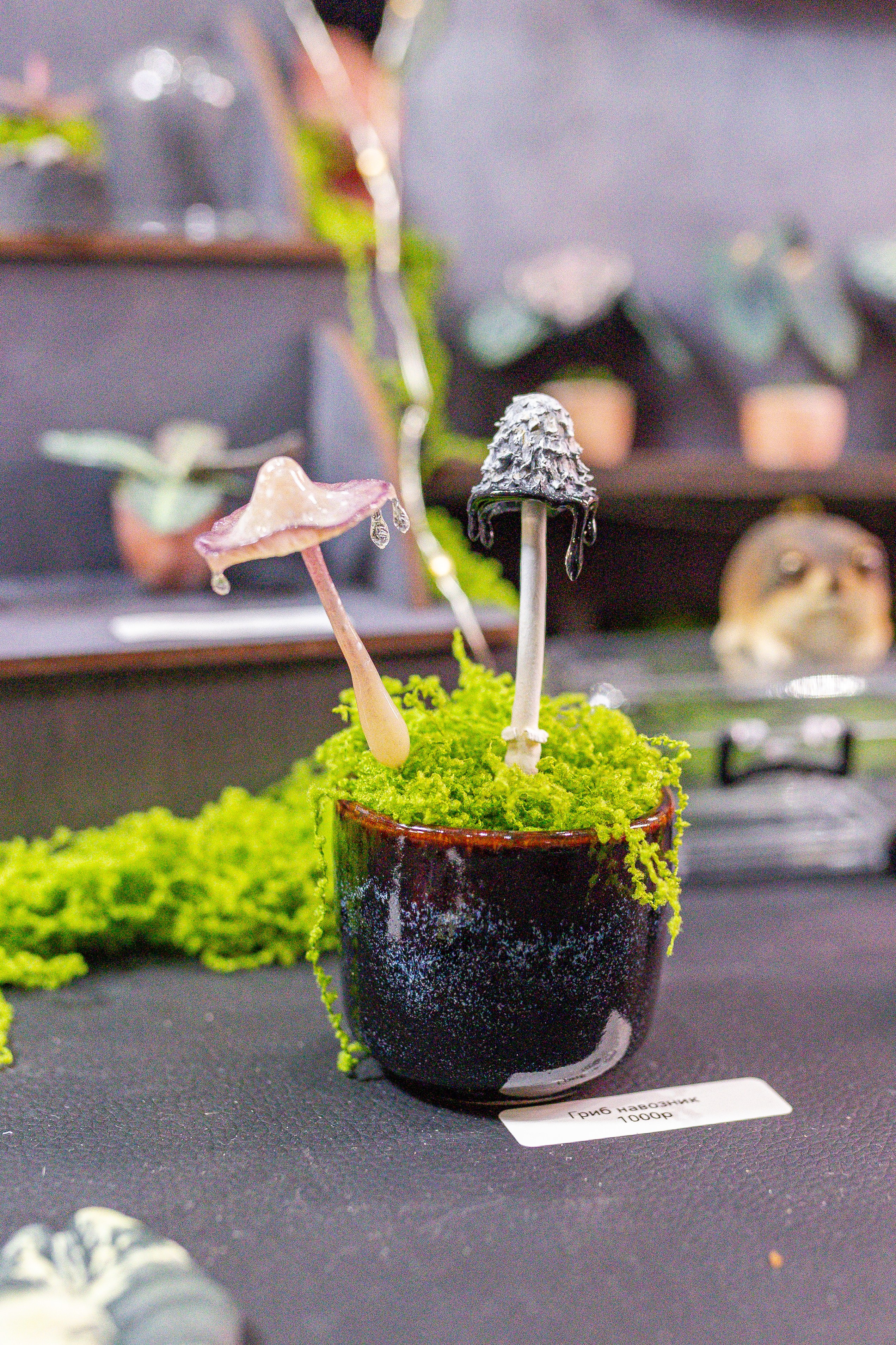 Монстериум апрель 2026. Александра Куликова фотограф, Москва