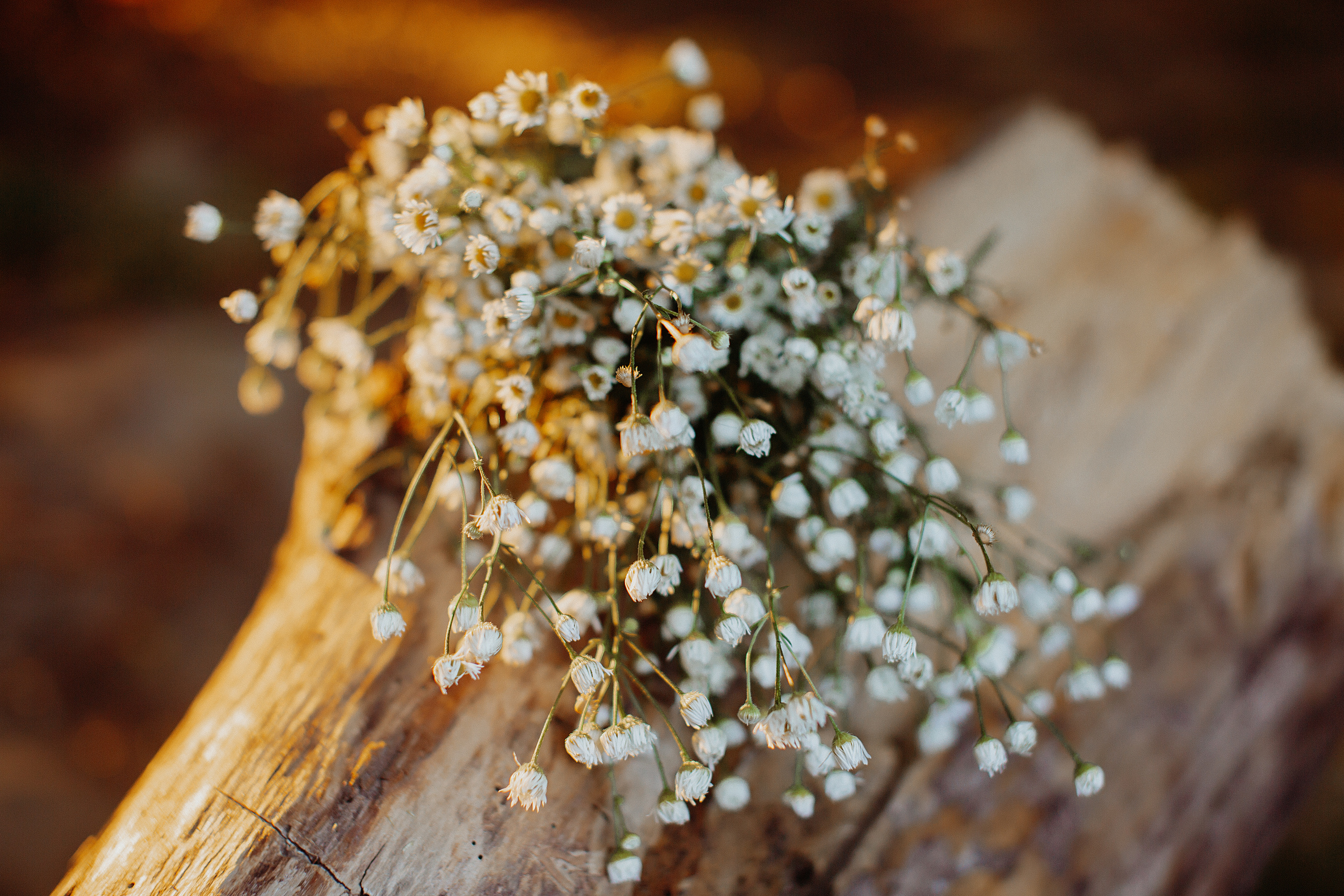 Юлия «Рождественский парк». Свадебный и семейный фотограф/видеограф в Краснодаре Наталья Осинская