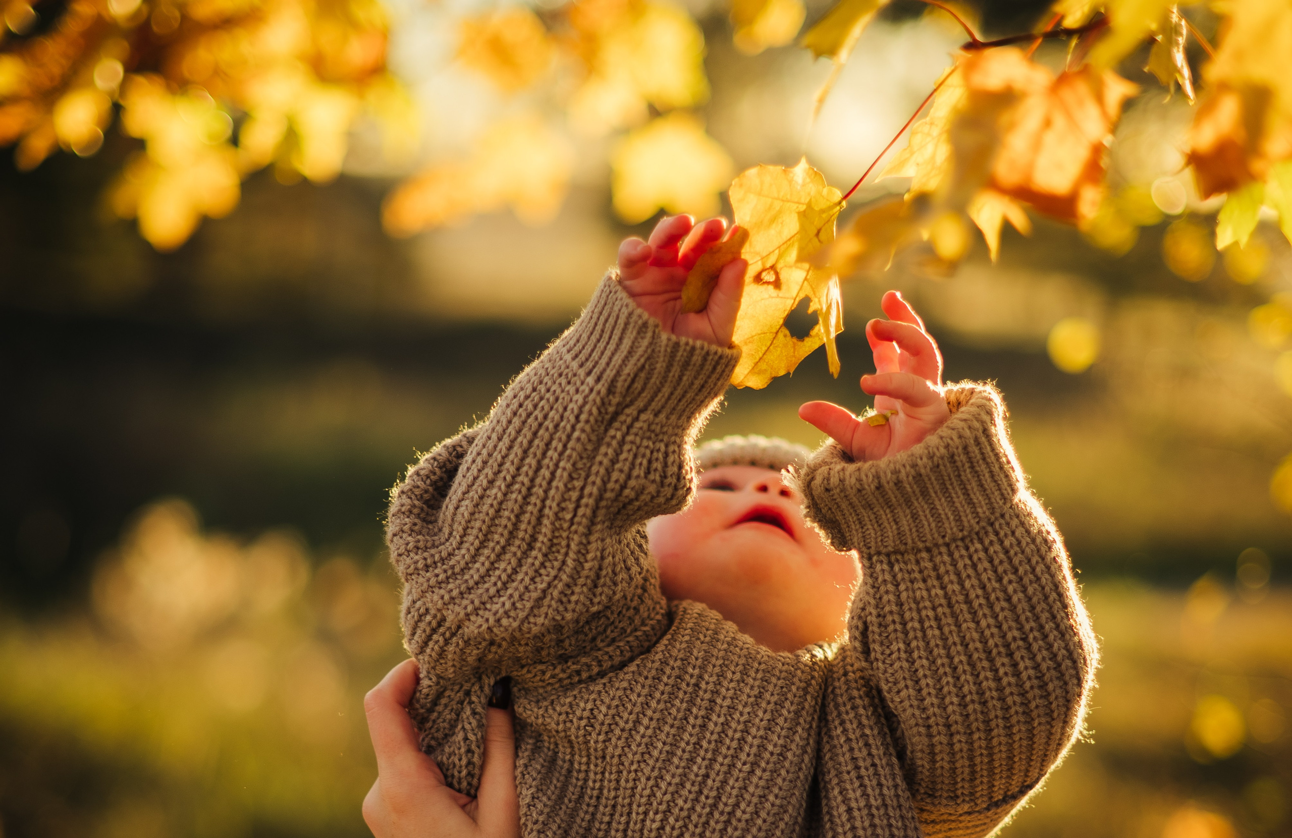 Мамочки осенью. Семейный и детский фотограф в Щелково Алена Дробот