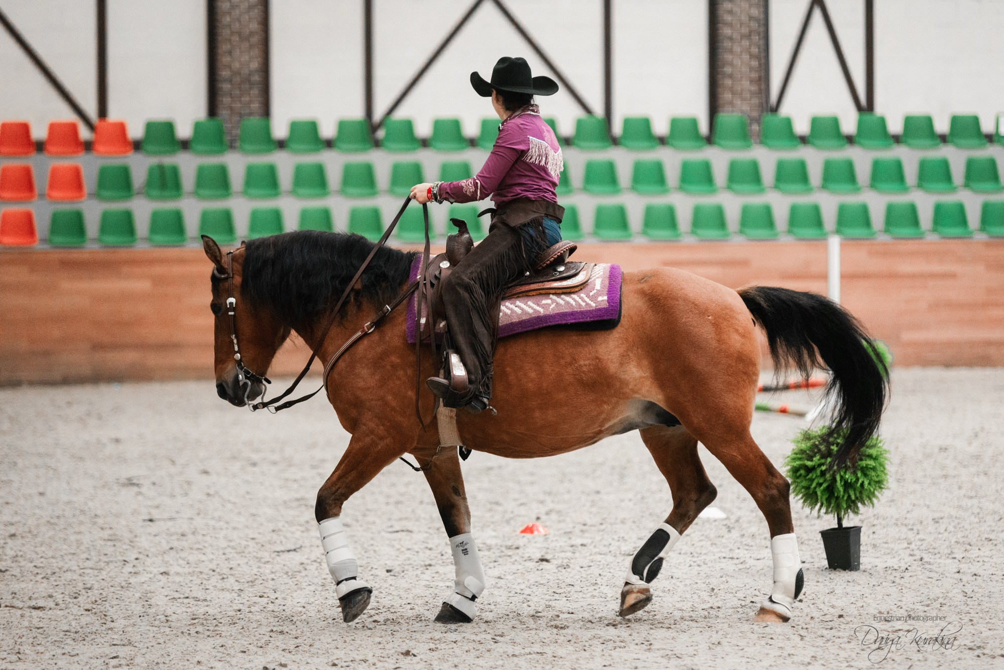 8-я международная выставка Конная Россия. Конный фотограф Куракина Дарья • Фотосессии с лошадьми