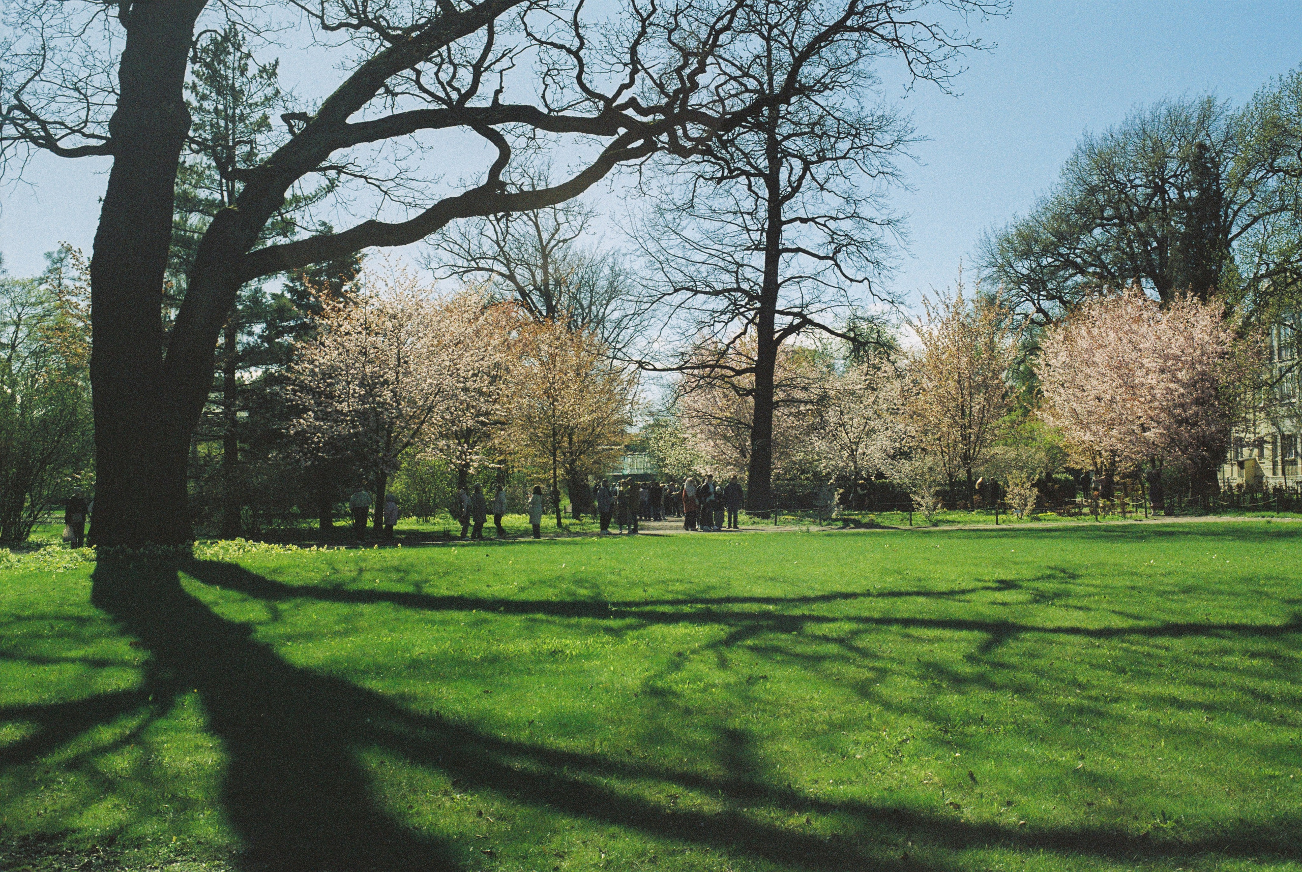 Плёночная весна 2025. Илья Михачёв Фотограф ПРО людей