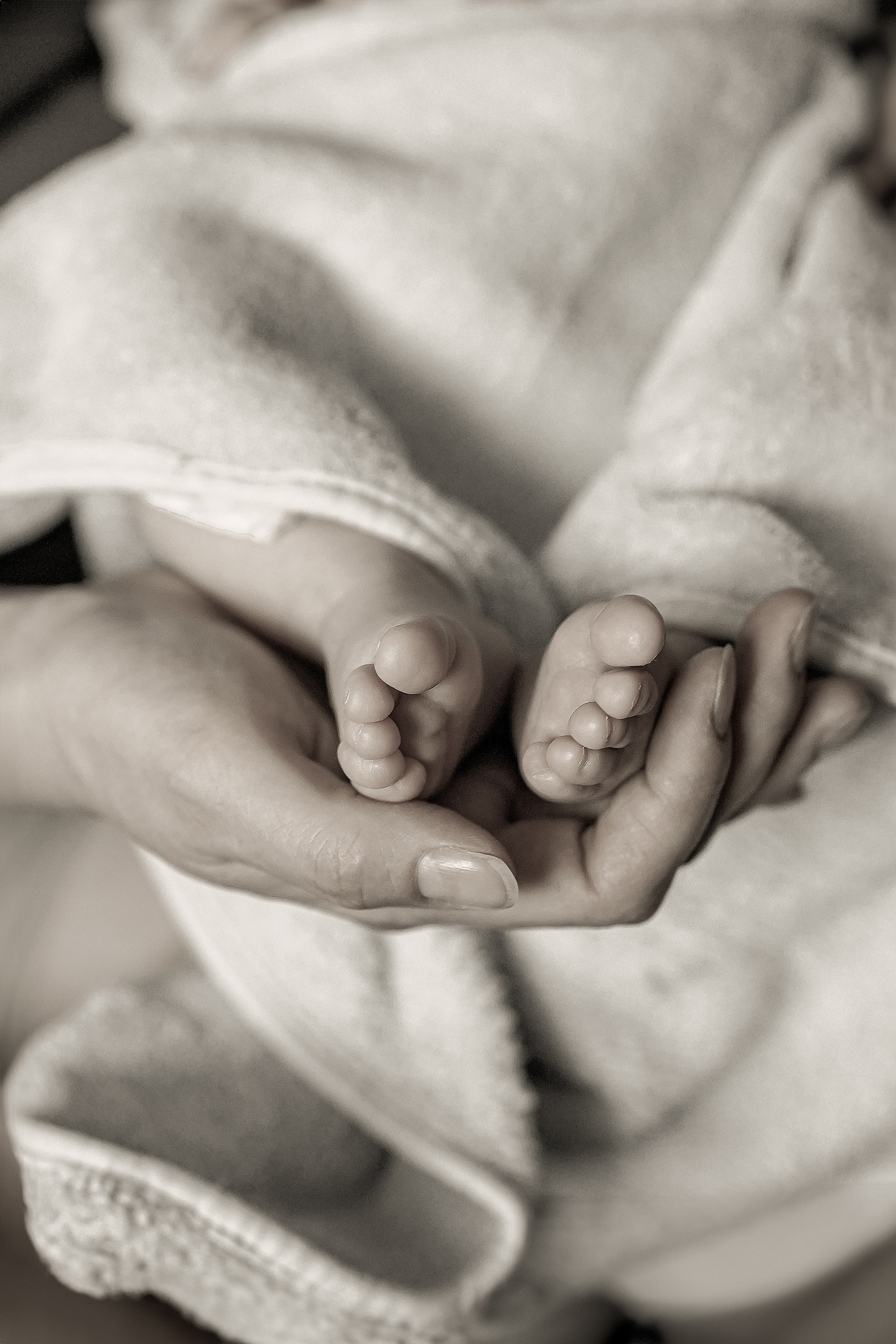 Neonati. Maria Lebedeva fotografa di bambini e famiglie a Torino e provincia