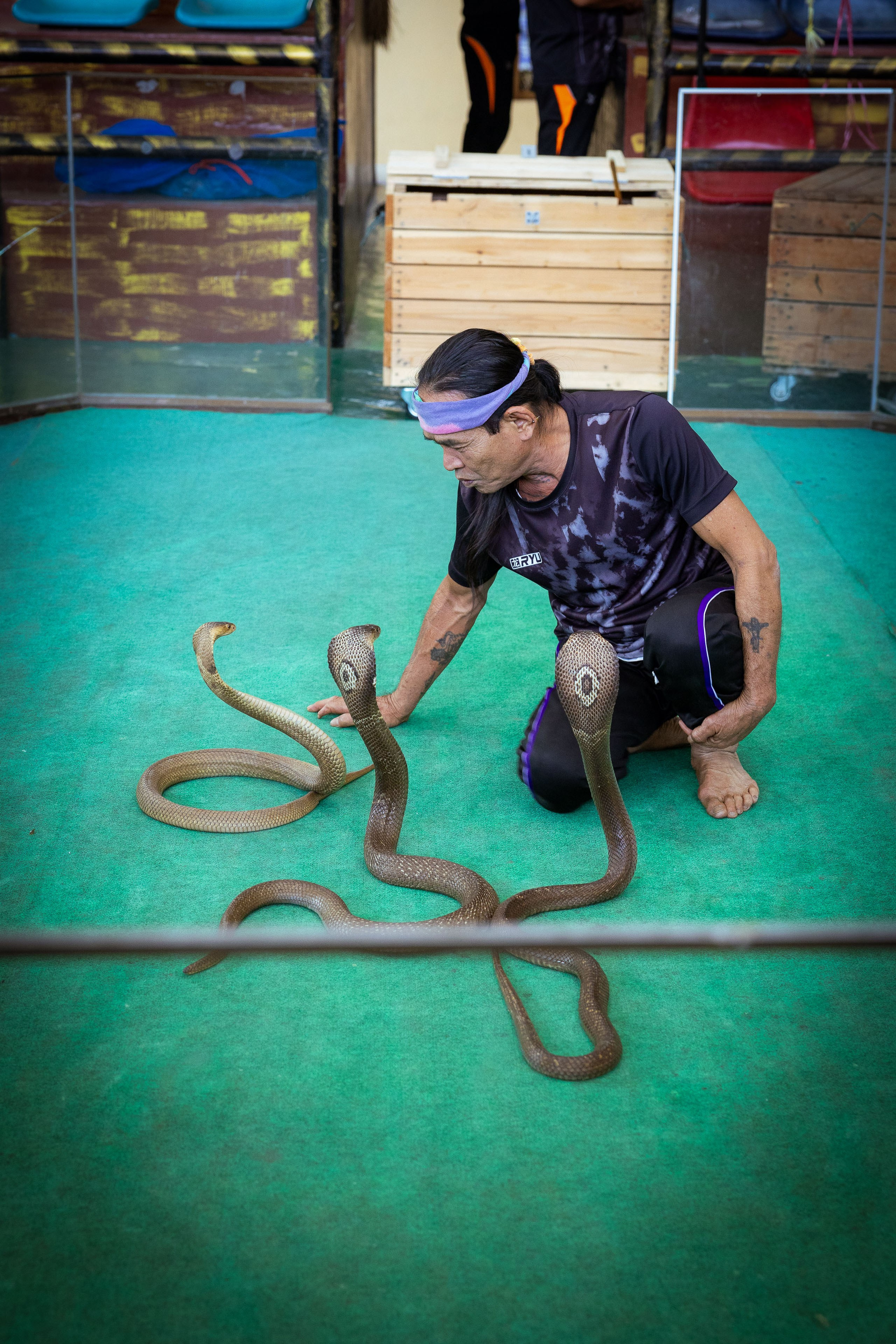 Таиланд (зима 2025). Фотограф Виноградов Константин