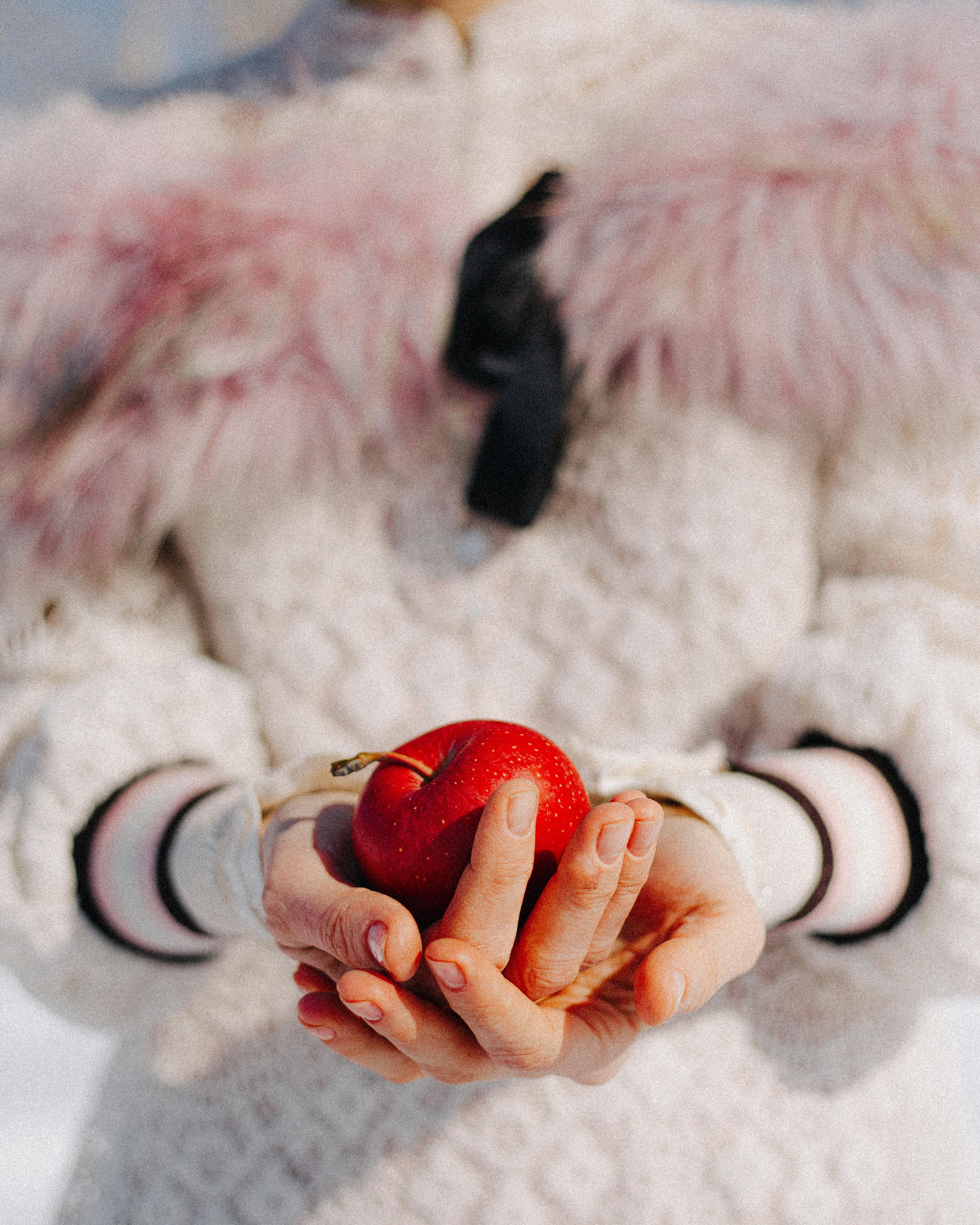 NADYA. Фототерапевт и фотограф Анна Калинина в Санкт-Петербурге и Астане