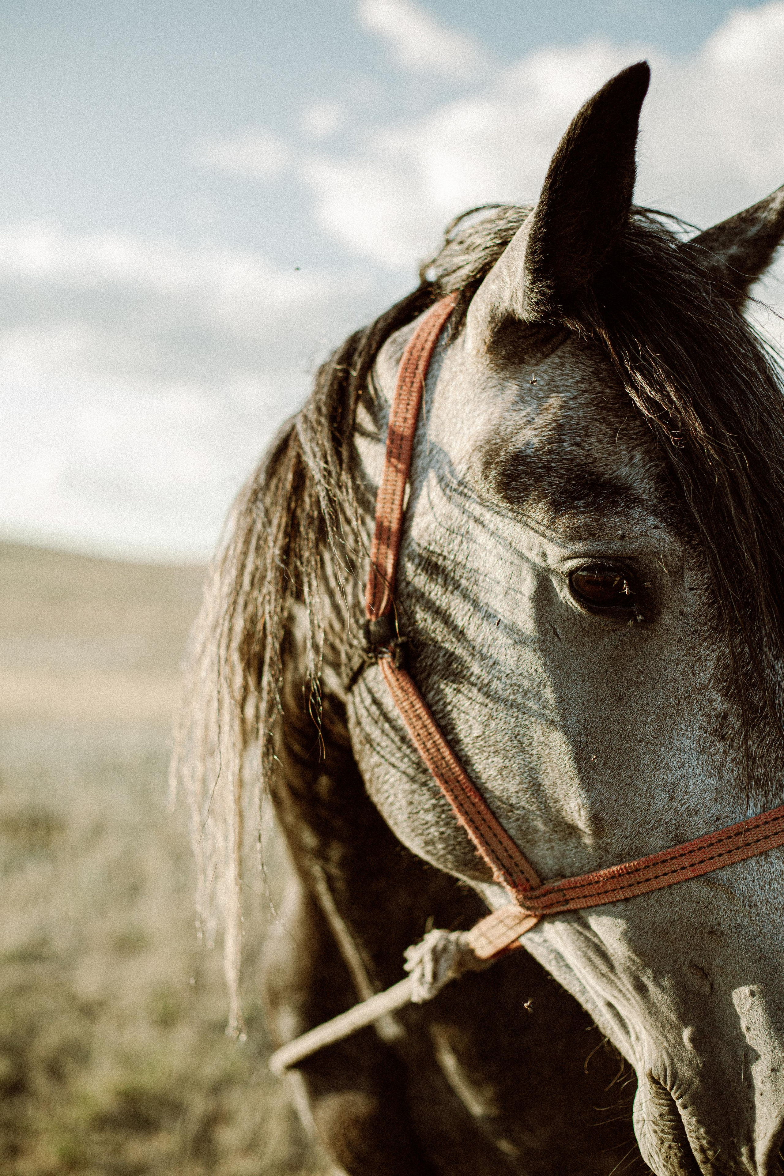 AMINA. Фототерапевт и фотограф Анна Калинина в Санкт-Петербурге и Астане