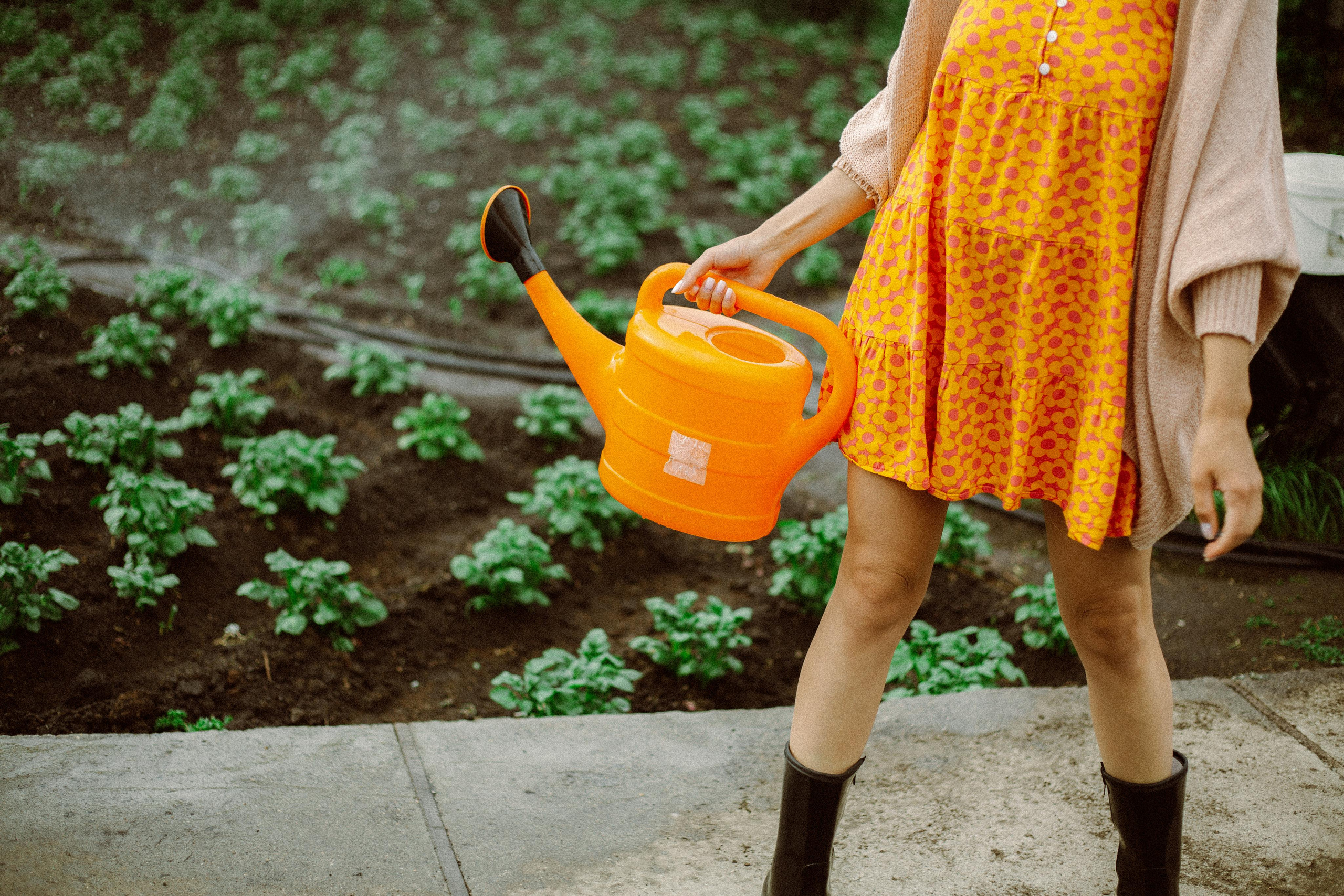 DARYA na DACHE. Фототерапевт и фотограф Анна Калинина в Санкт-Петербурге и Астане