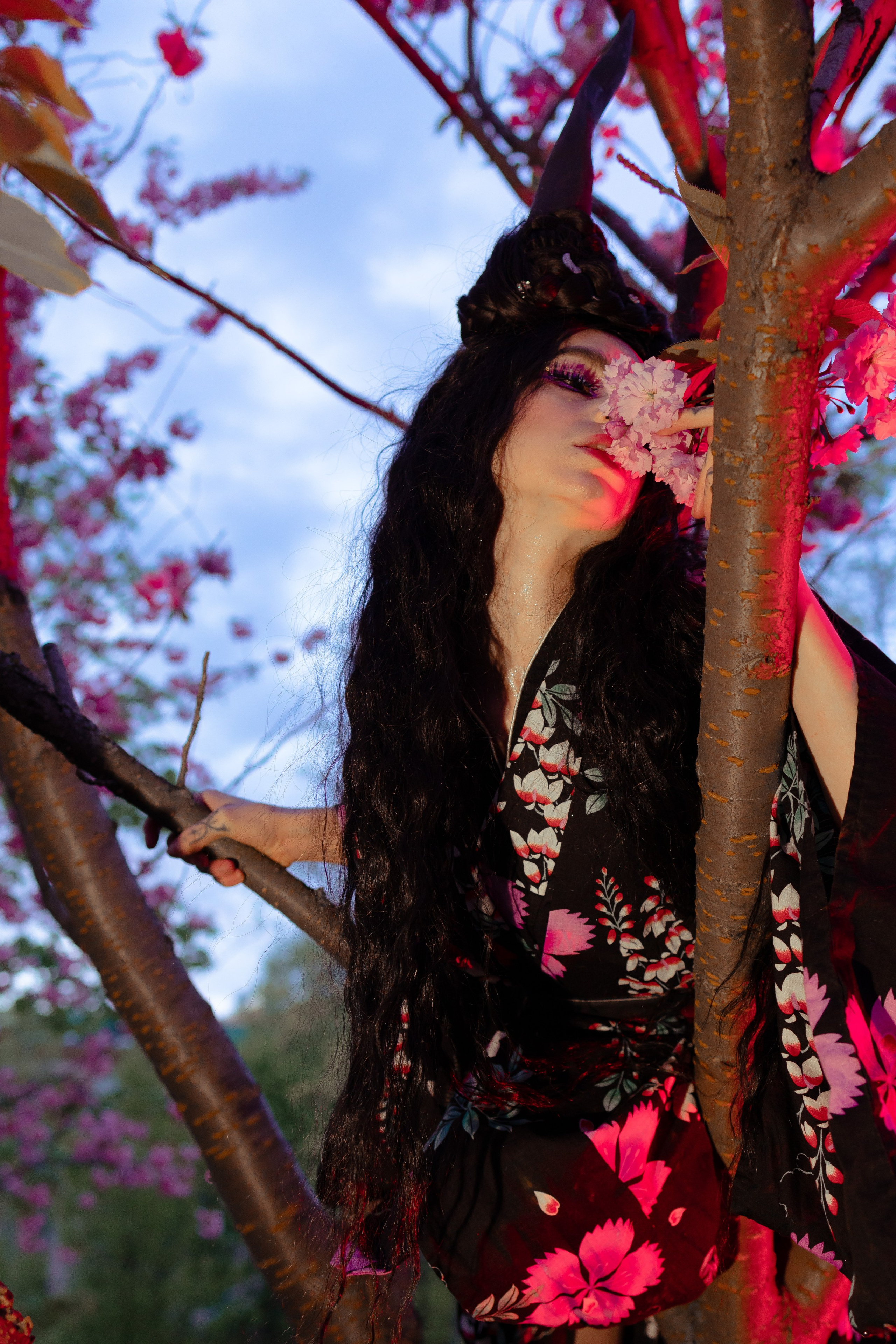 Кирисакура- соцветия вишни в тумане