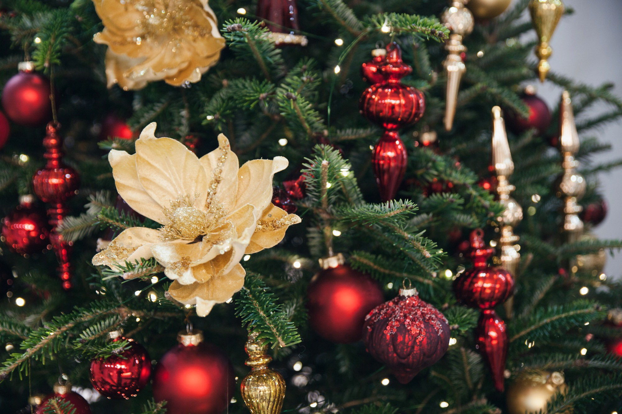 Тисс 2024. Ксения Почтарь. Декоратор и флорист, город Владивосток