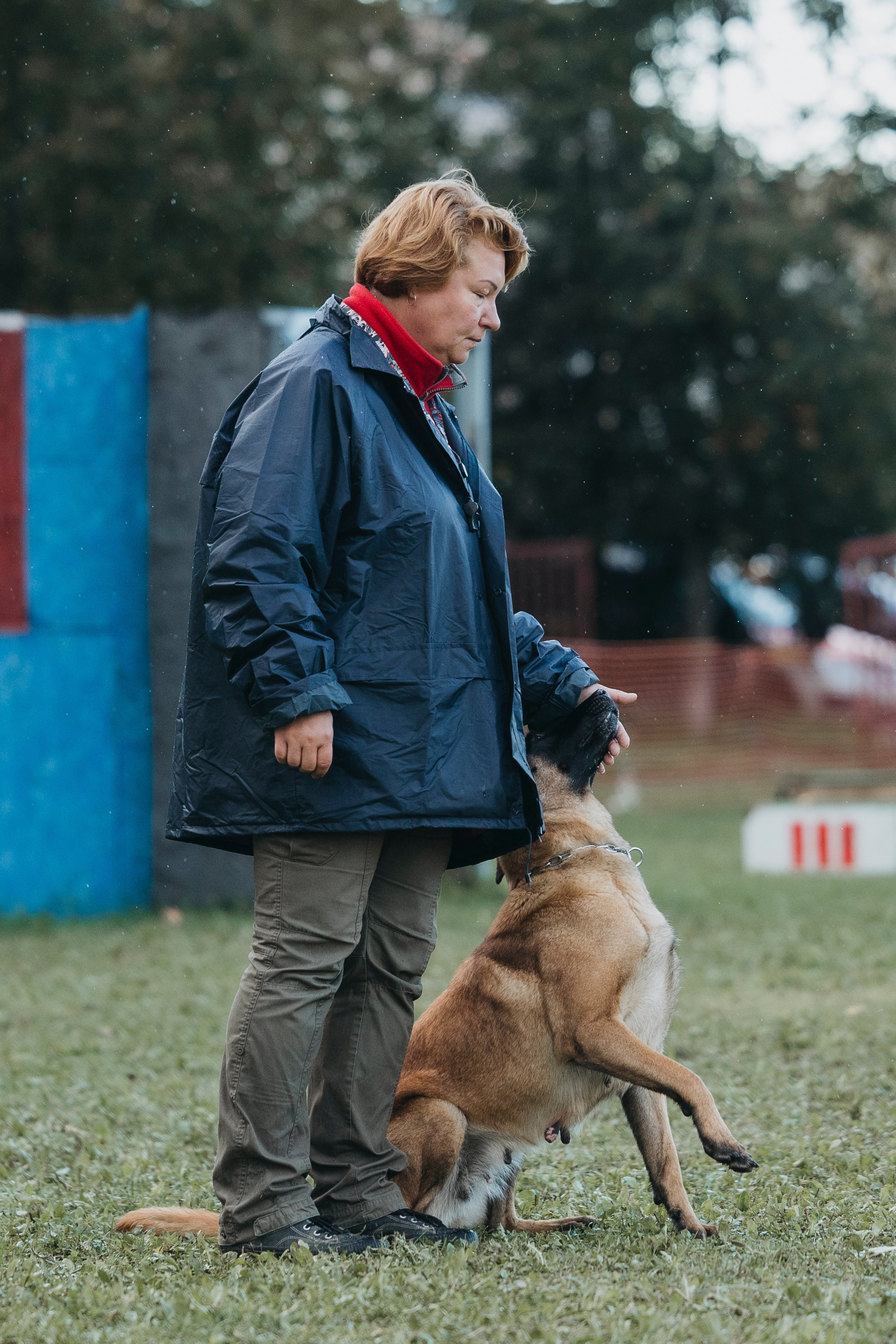 Испытания по мондьорингу г. Пушкин 29.09.2024. Фотограф-анималист Анна Маринич