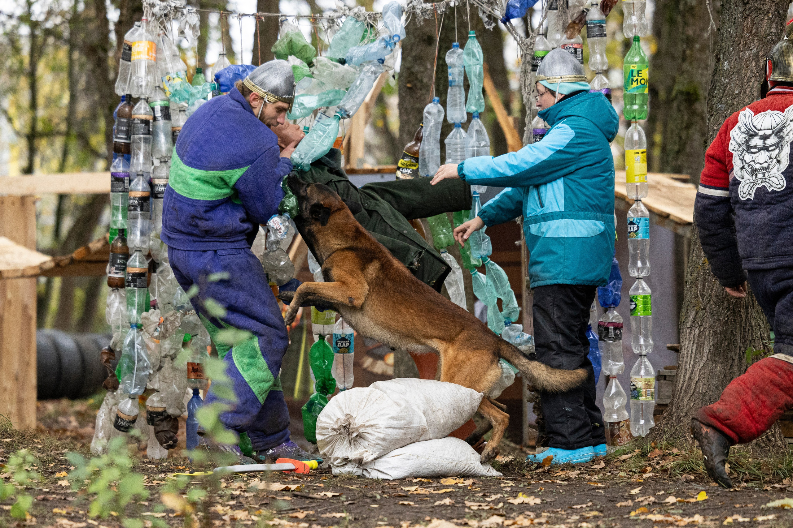 Соревнования по Мондьорингу г. Вологда. Фотограф-анималист Анна Маринич